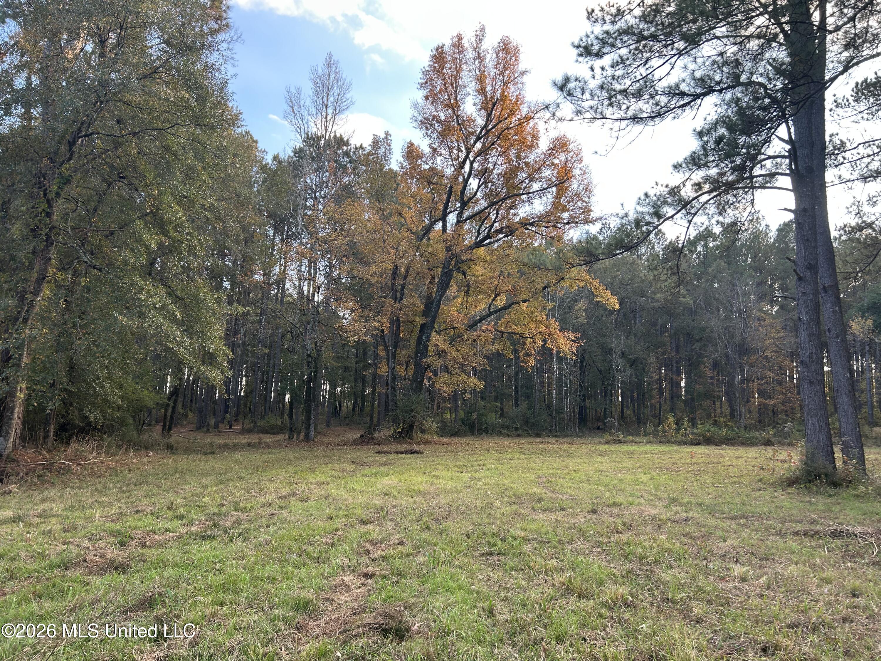 4024 Old Mill Road Property Photo 1