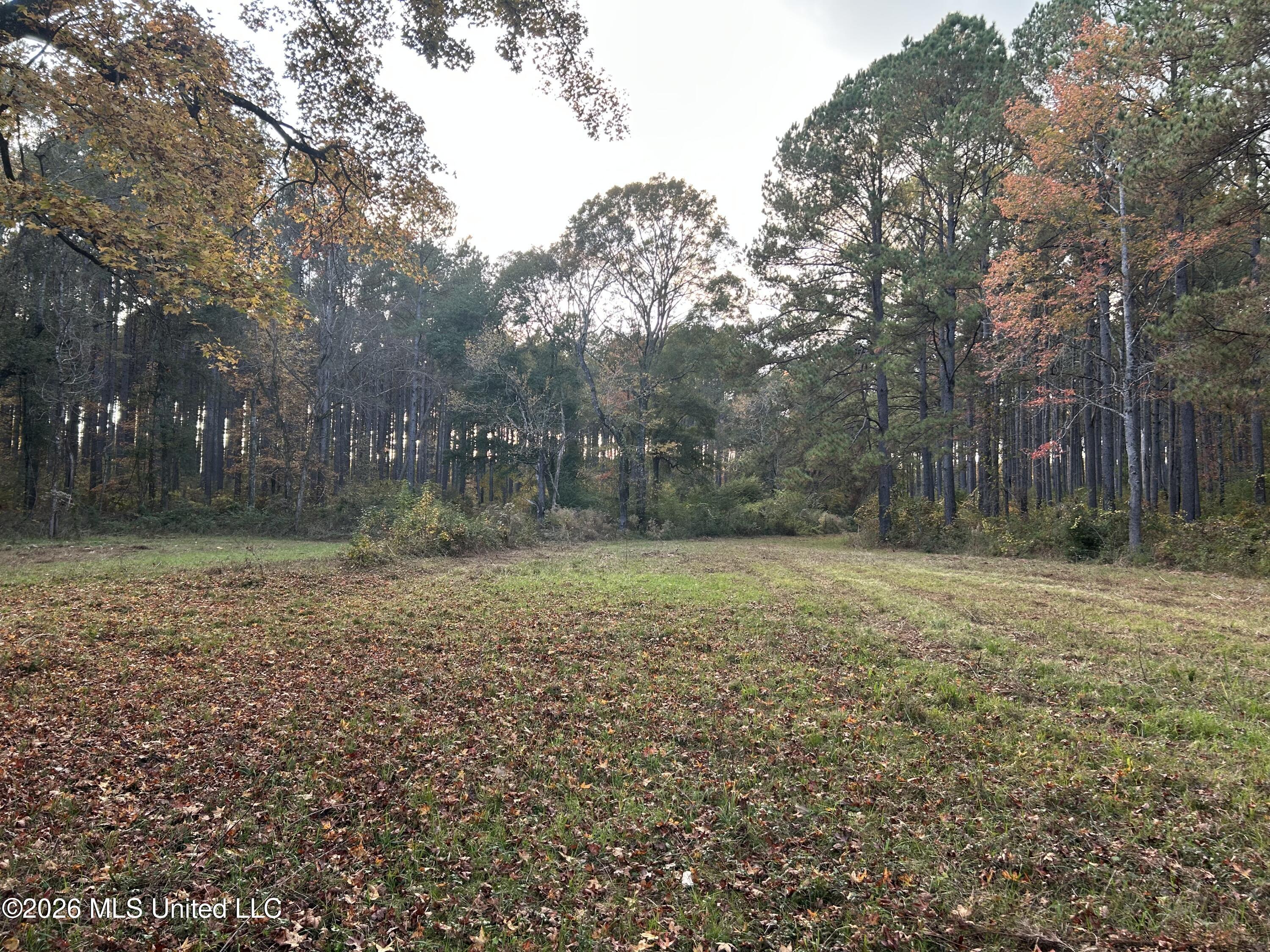 4024 Old Mill Road Property Photo 3