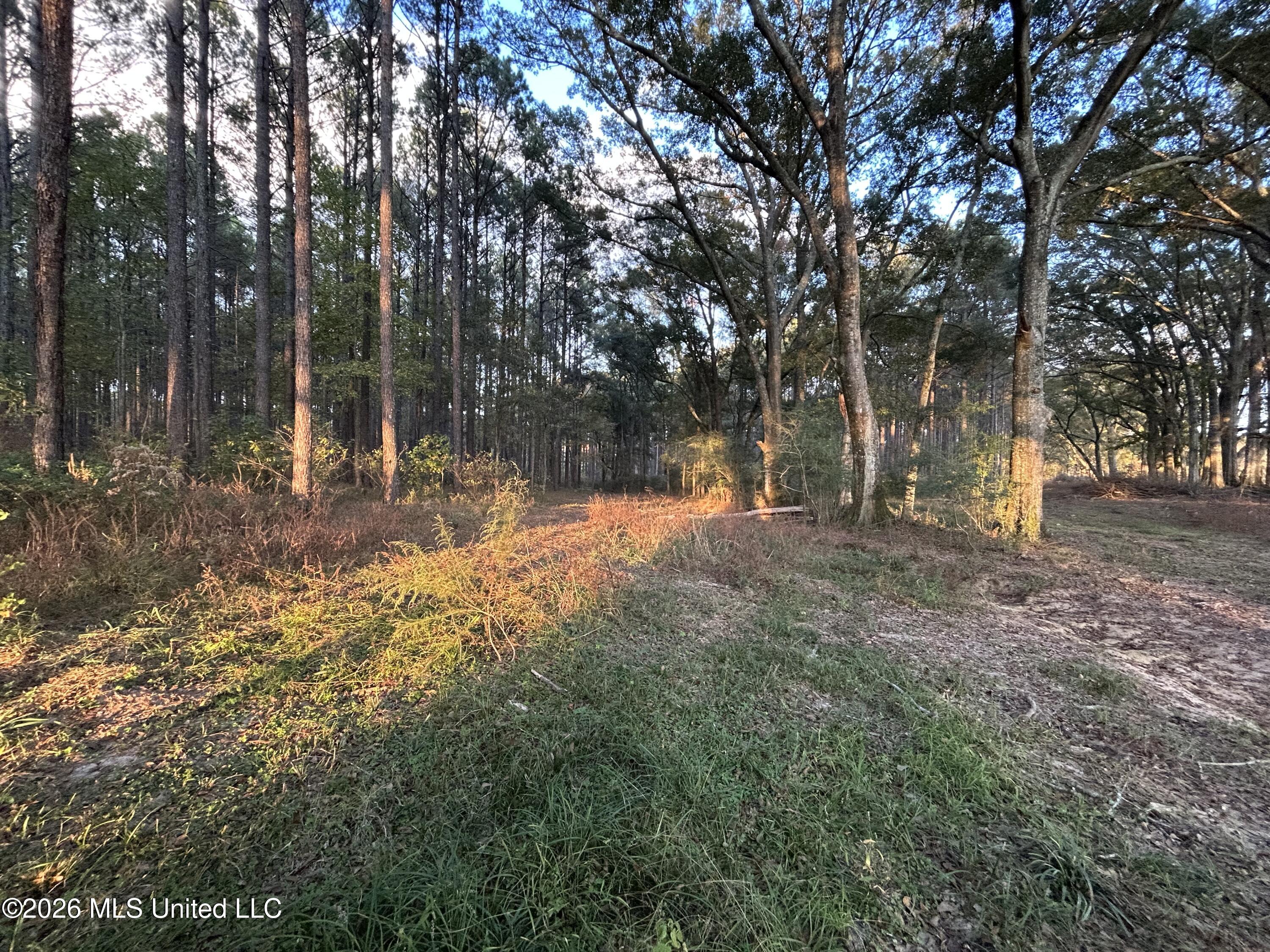 4024 Old Mill Road Property Photo 5