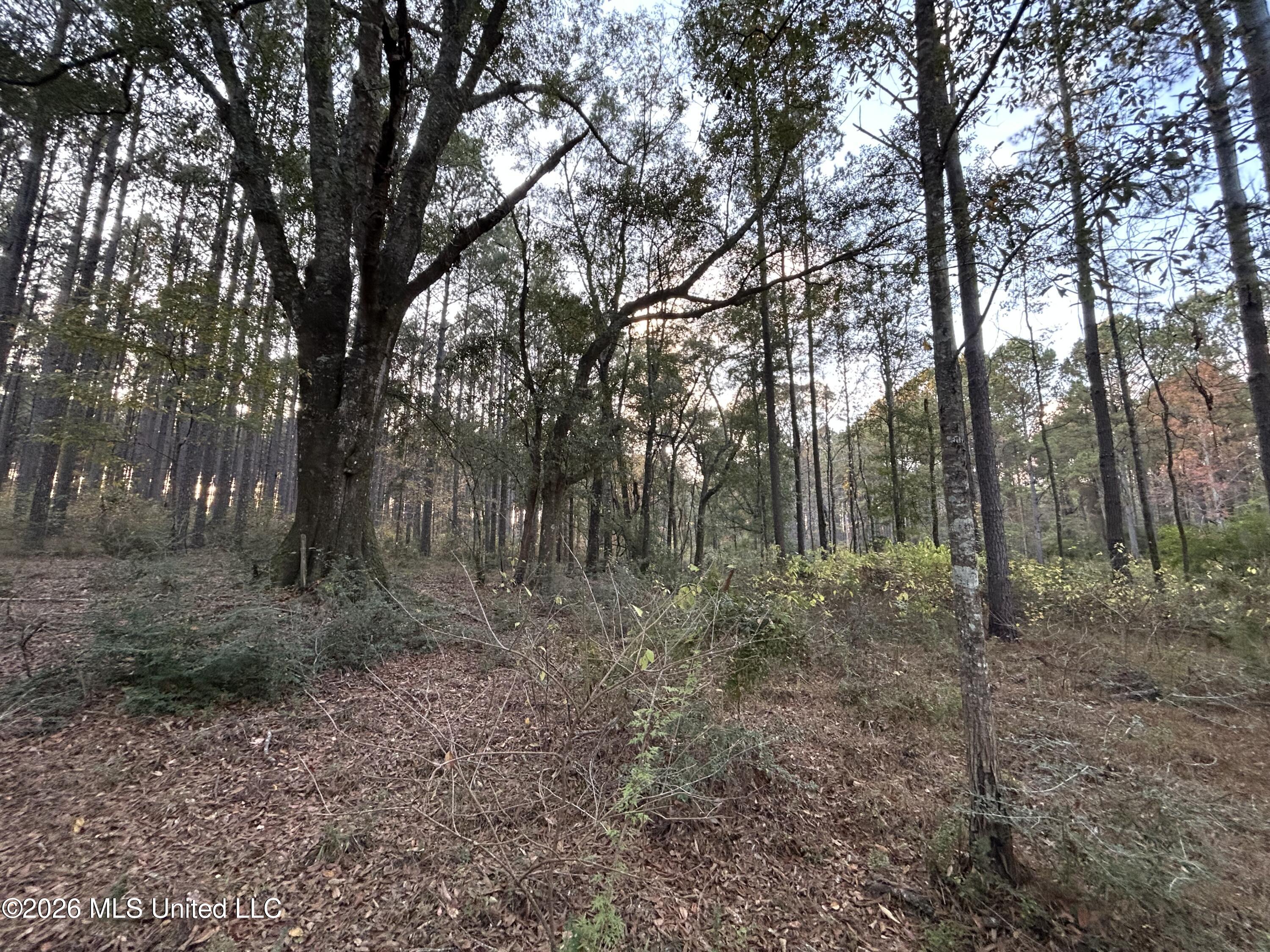 4024 Old Mill Road Property Photo 7
