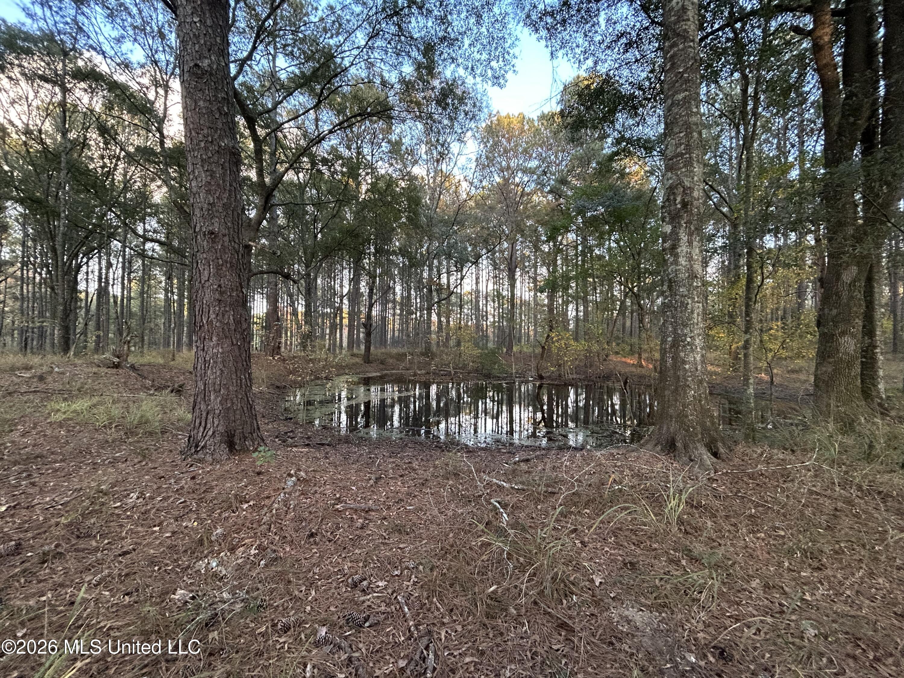 4024 Old Mill Road Property Photo 8