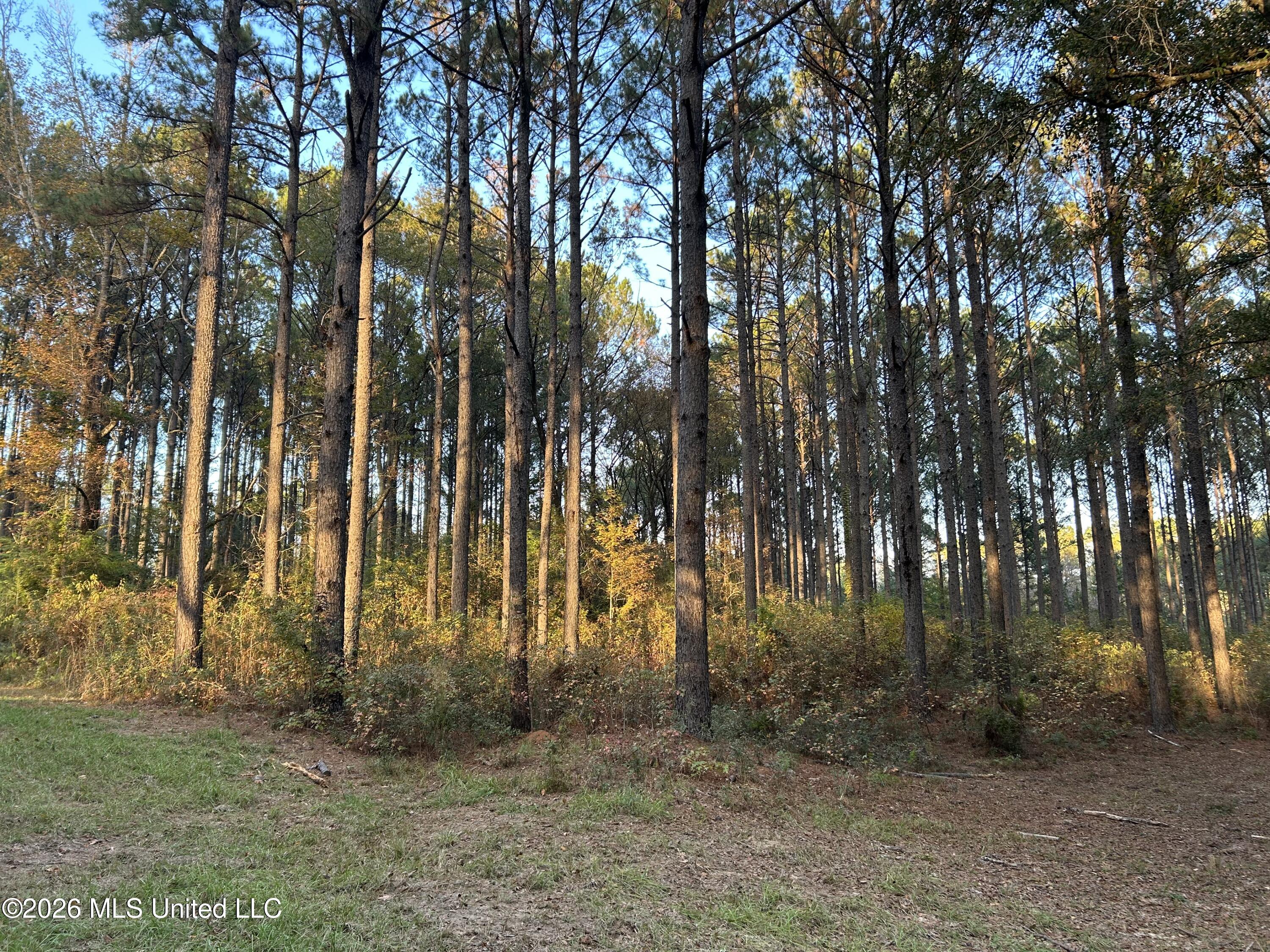 4024 Old Mill Road Property Photo 11