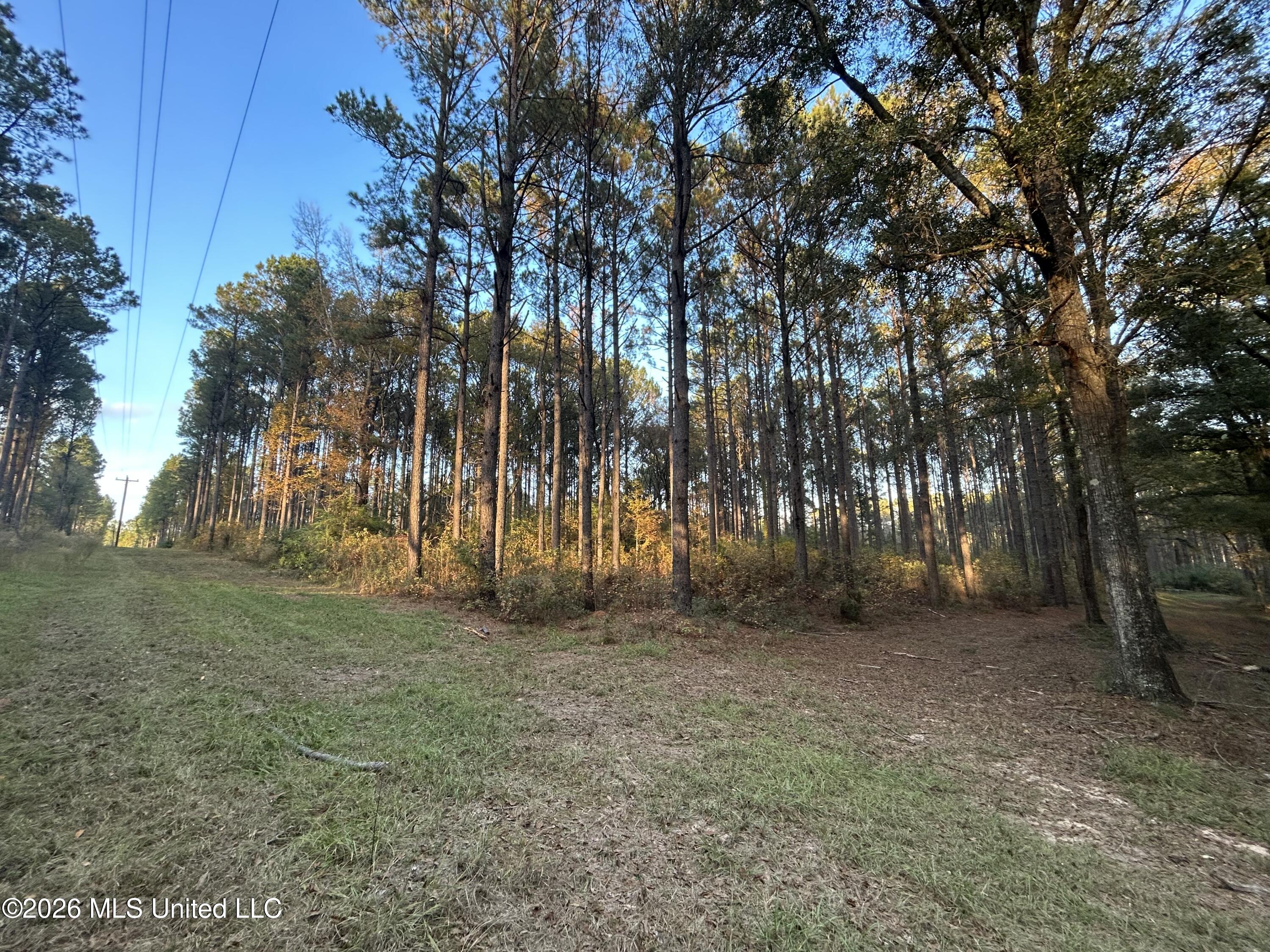 4024 Old Mill Road Property Photo 12