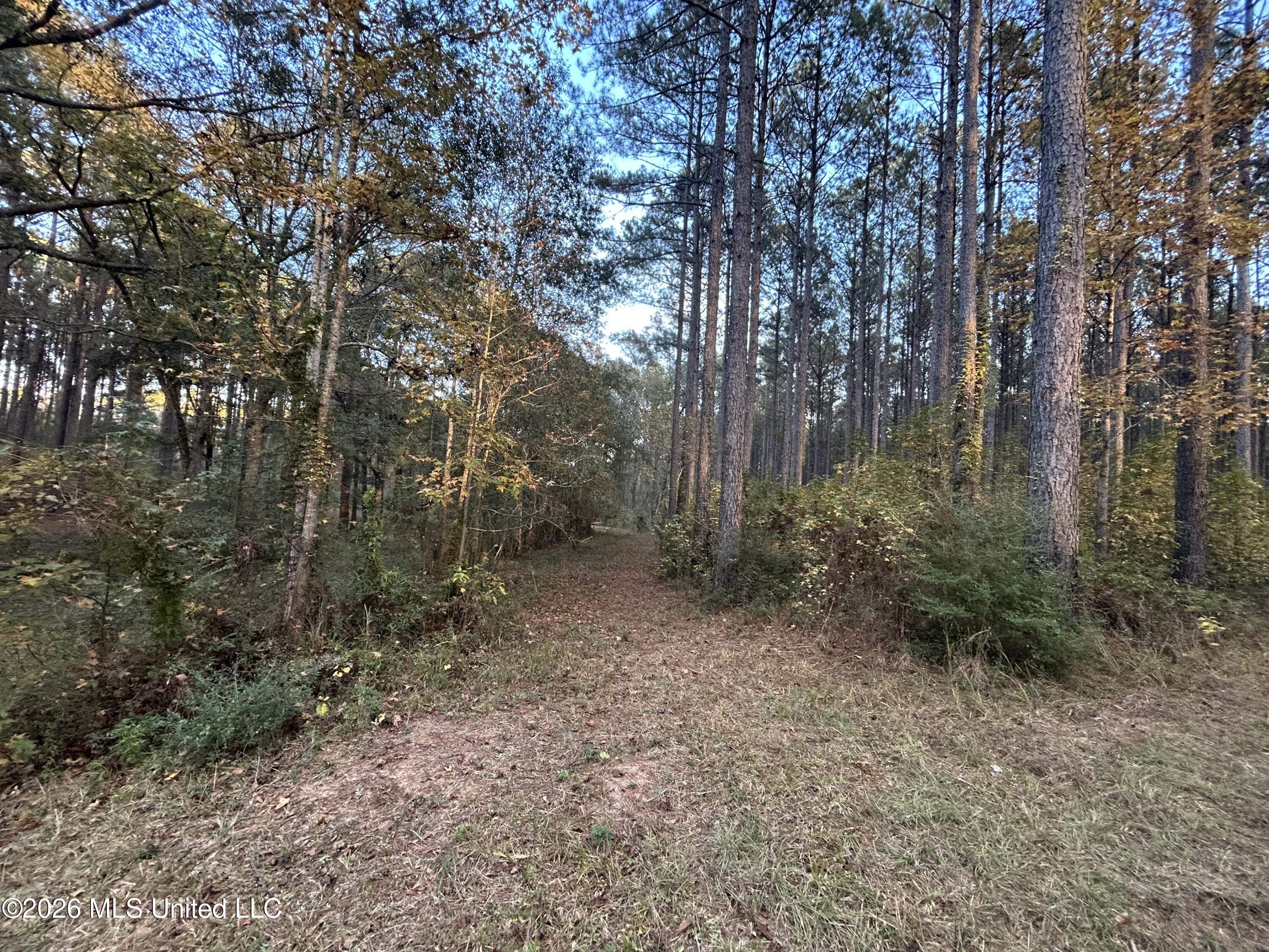 4024 Old Mill Road Property Photo 13