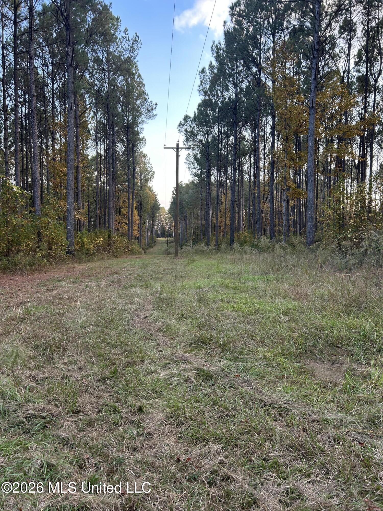 4024 Old Mill Road Property Photo 14