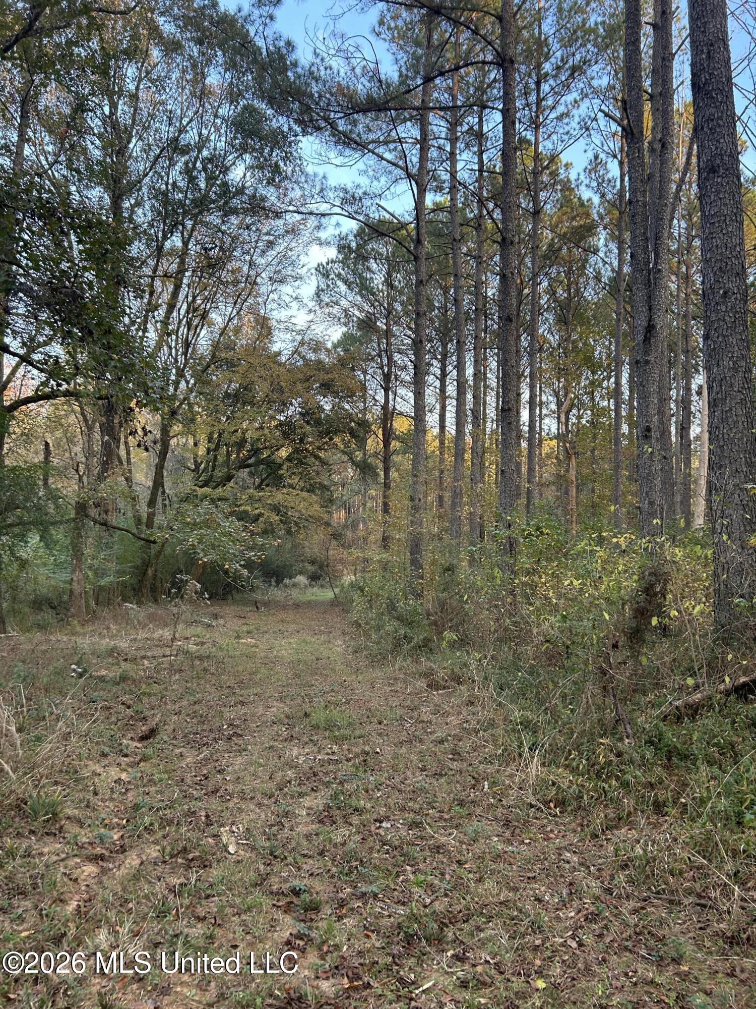 4024 Old Mill Road Property Photo 17