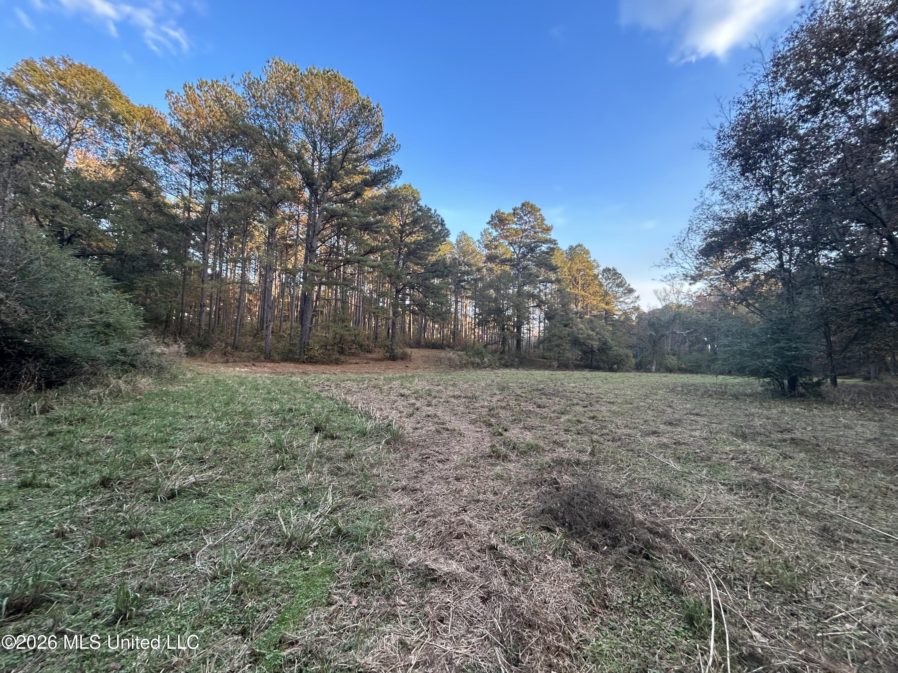 4024 Old Mill Road Property Photo 18