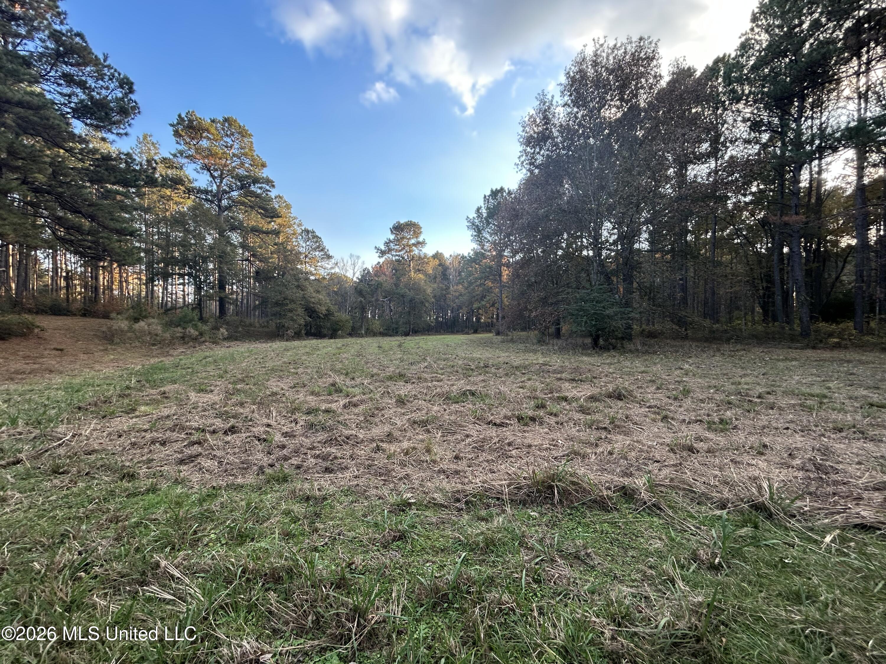 4024 Old Mill Road Property Photo 19
