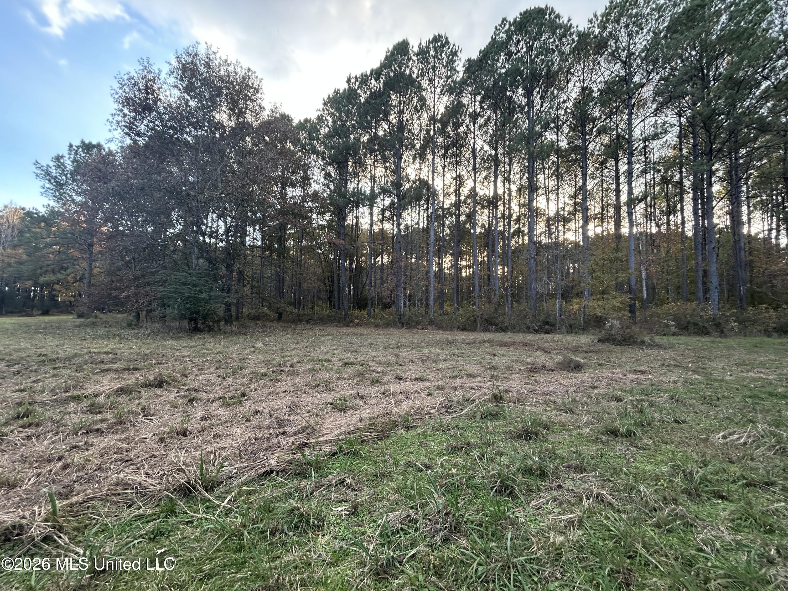 4024 Old Mill Road Property Photo 20