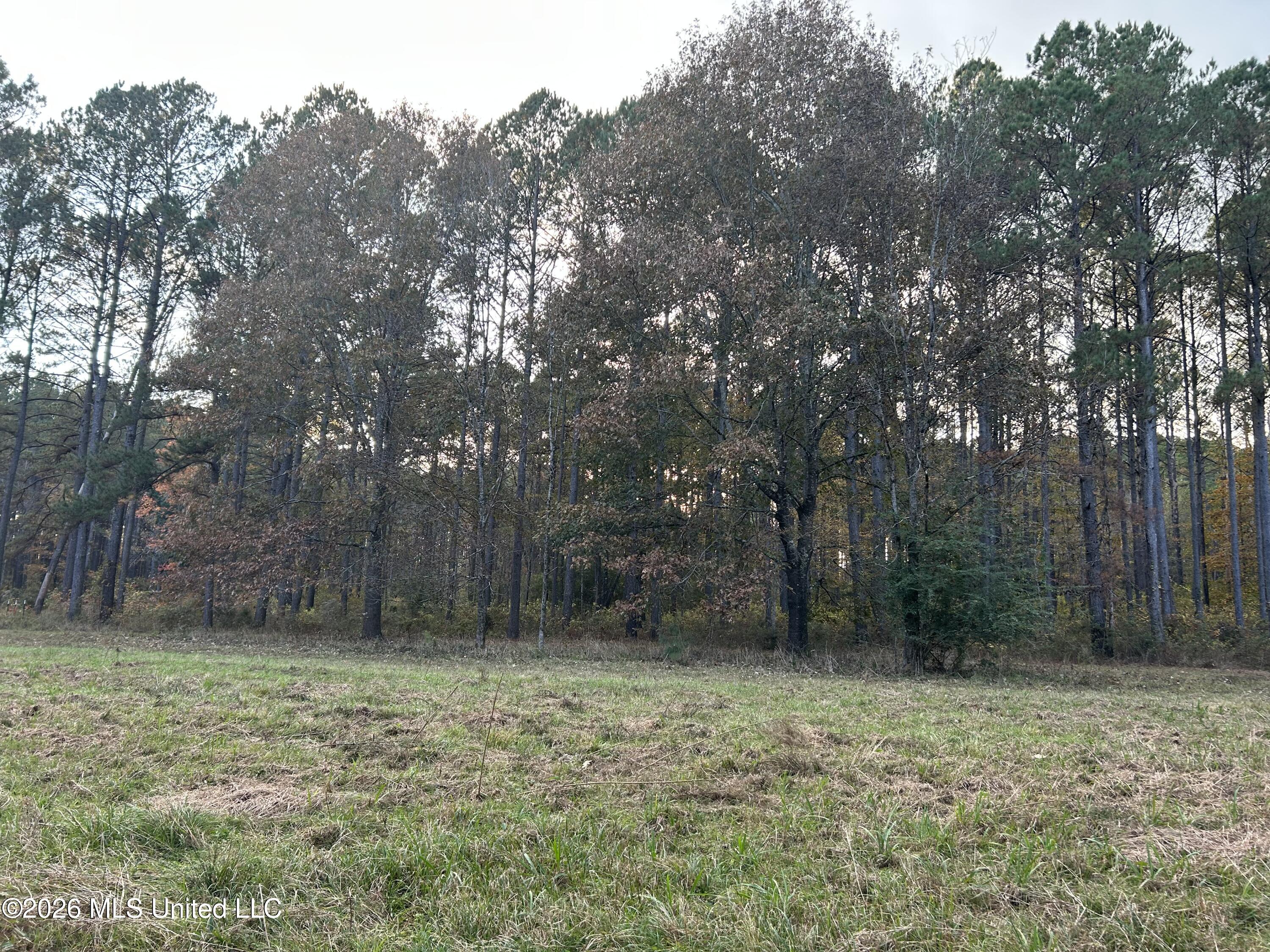4024 Old Mill Road Property Photo 22