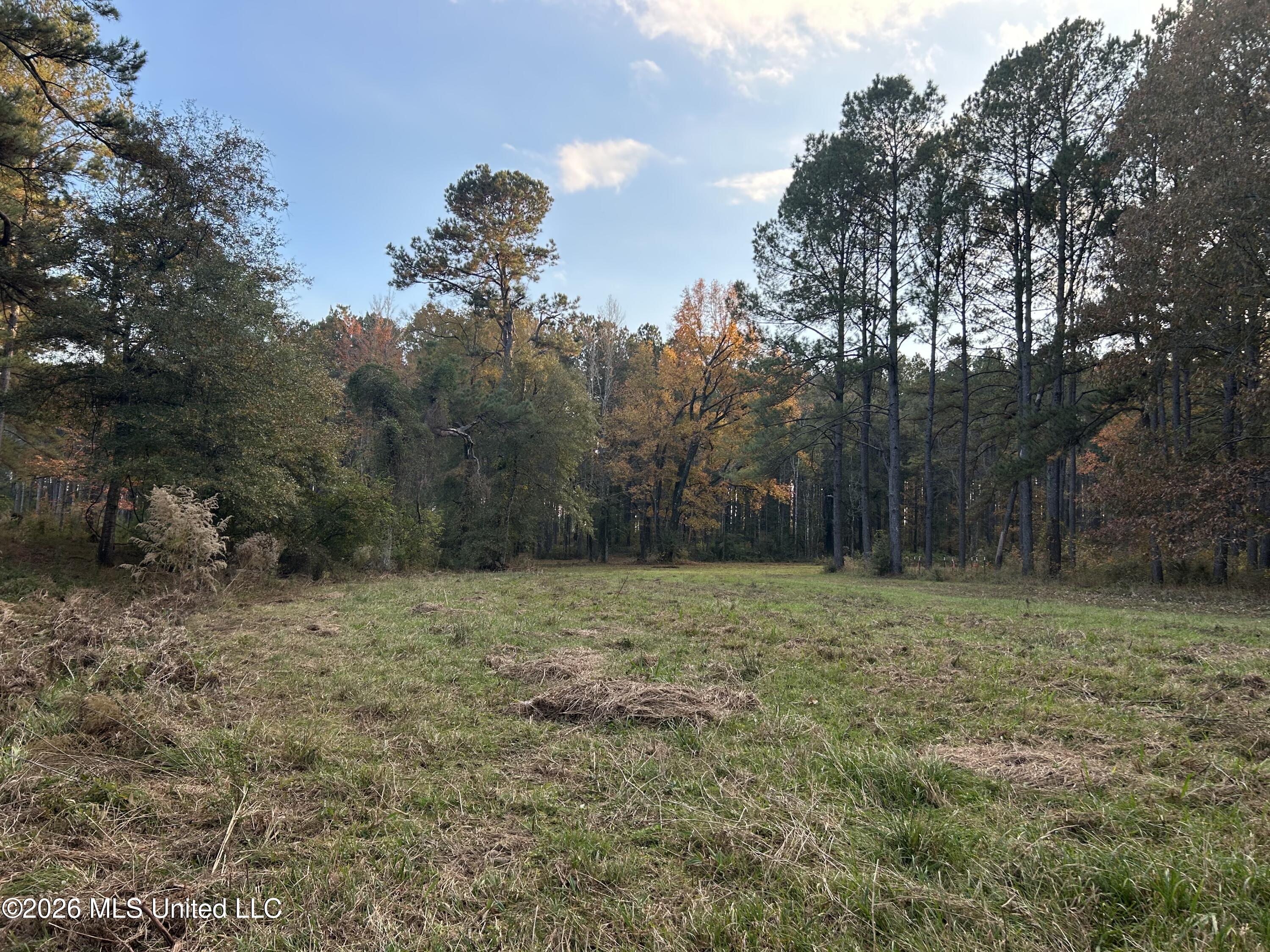 4024 Old Mill Road Property Photo 23