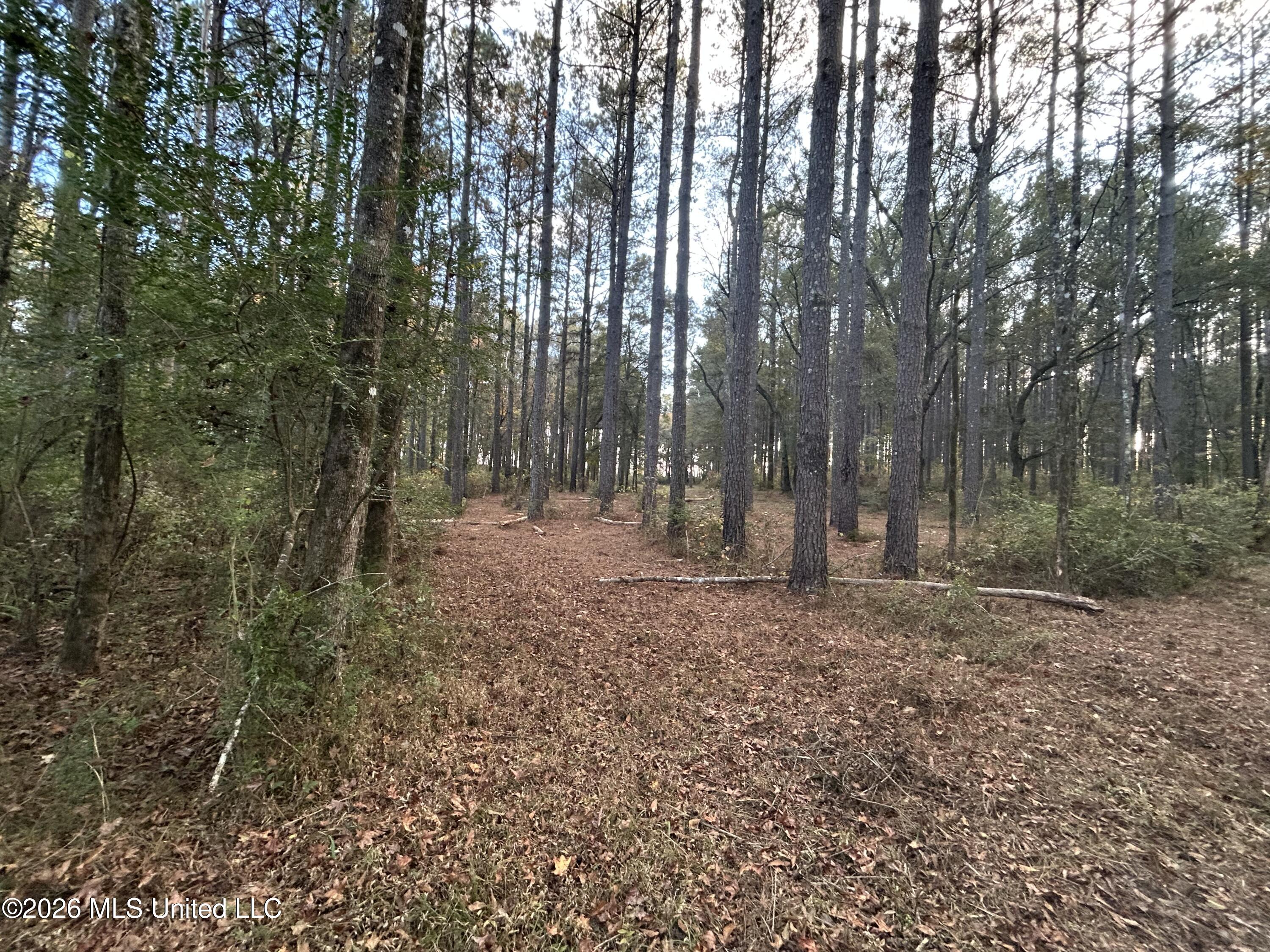 4024 Old Mill Road Property Photo 25