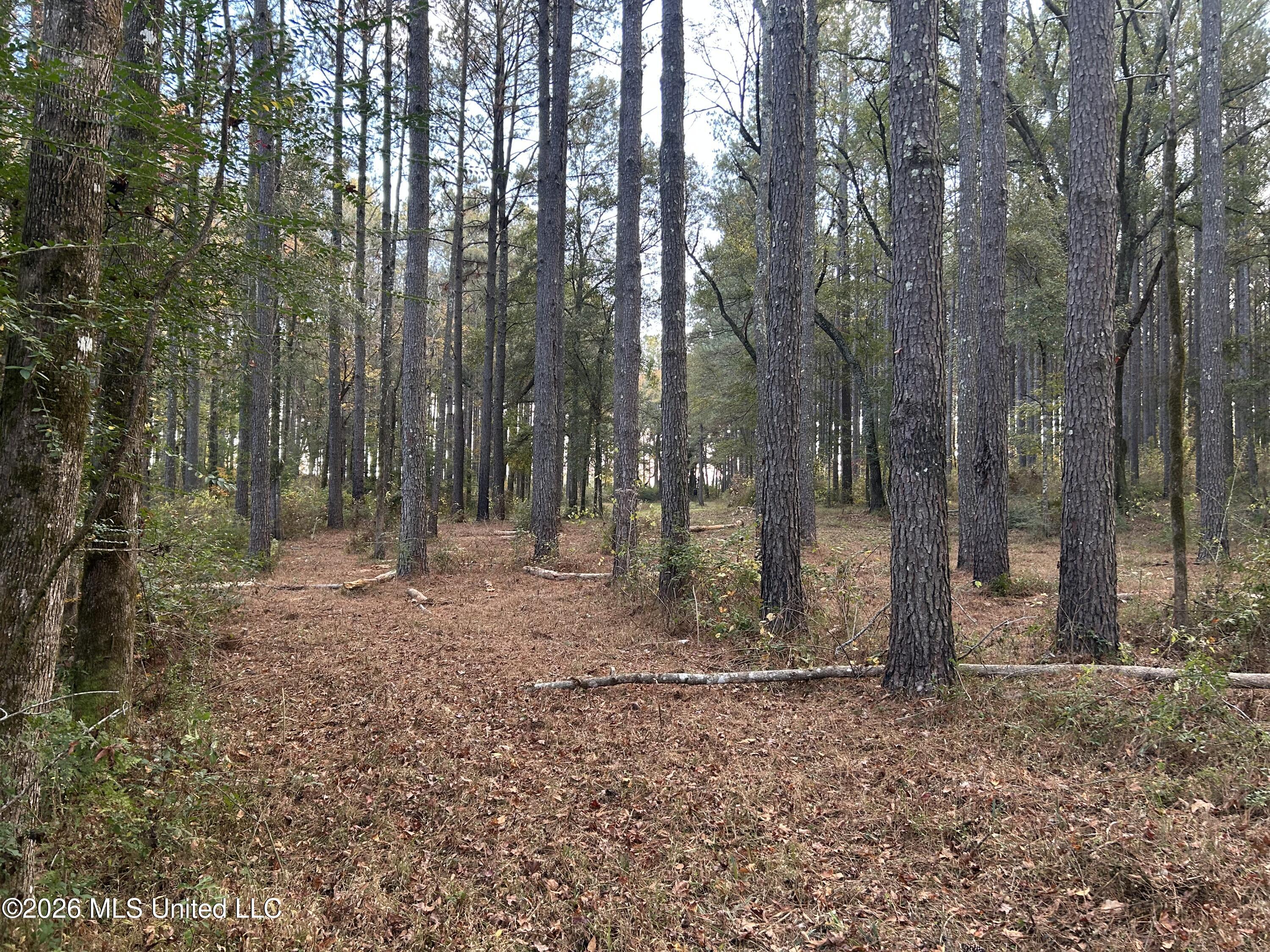 4024 Old Mill Road Property Photo 26