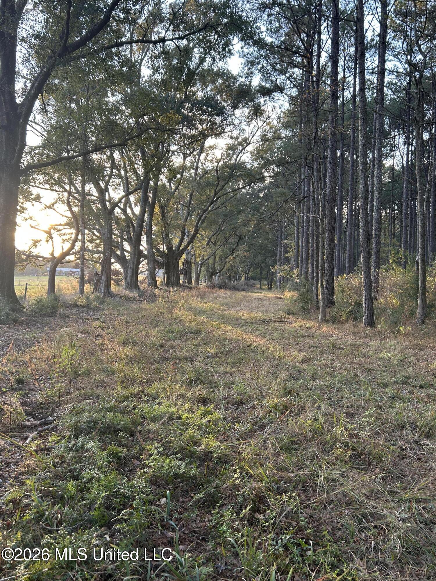 4024 Old Mill Road Property Photo 29