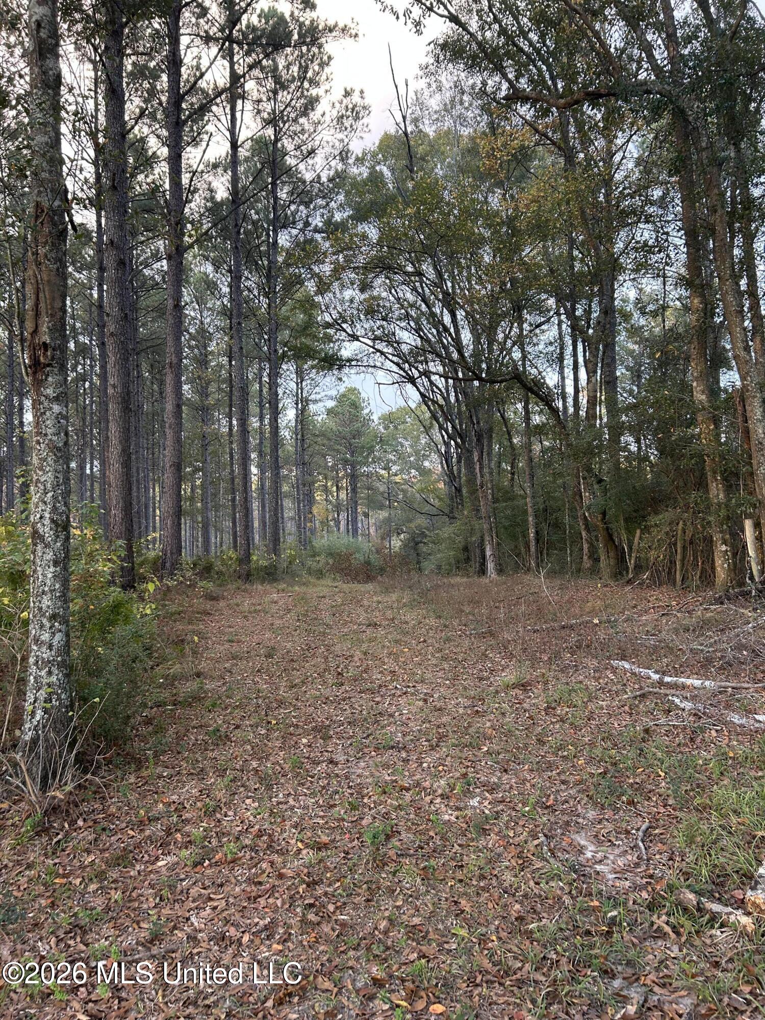 4024 Old Mill Road Property Photo 30