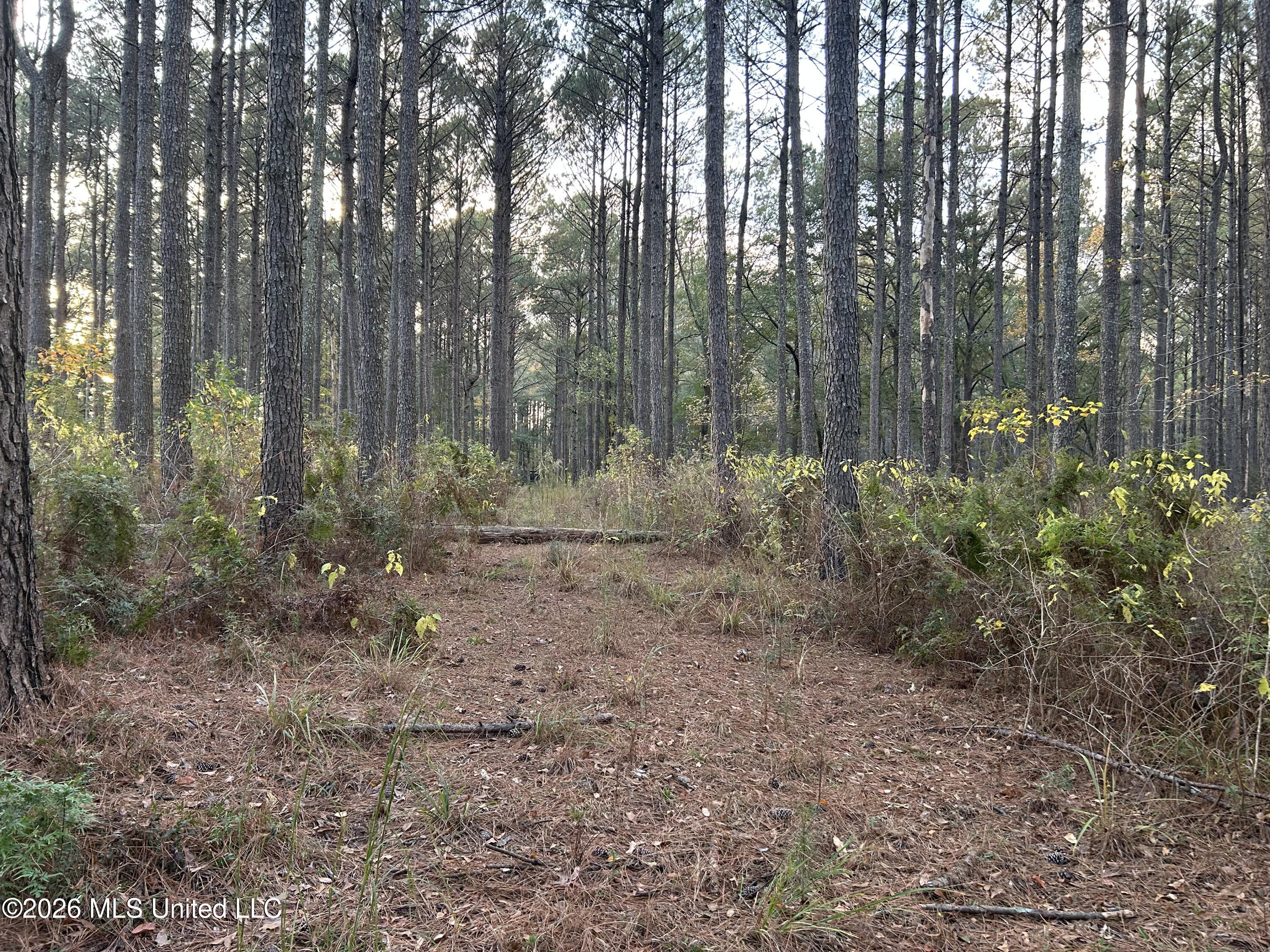 4024 Old Mill Road Property Photo 32