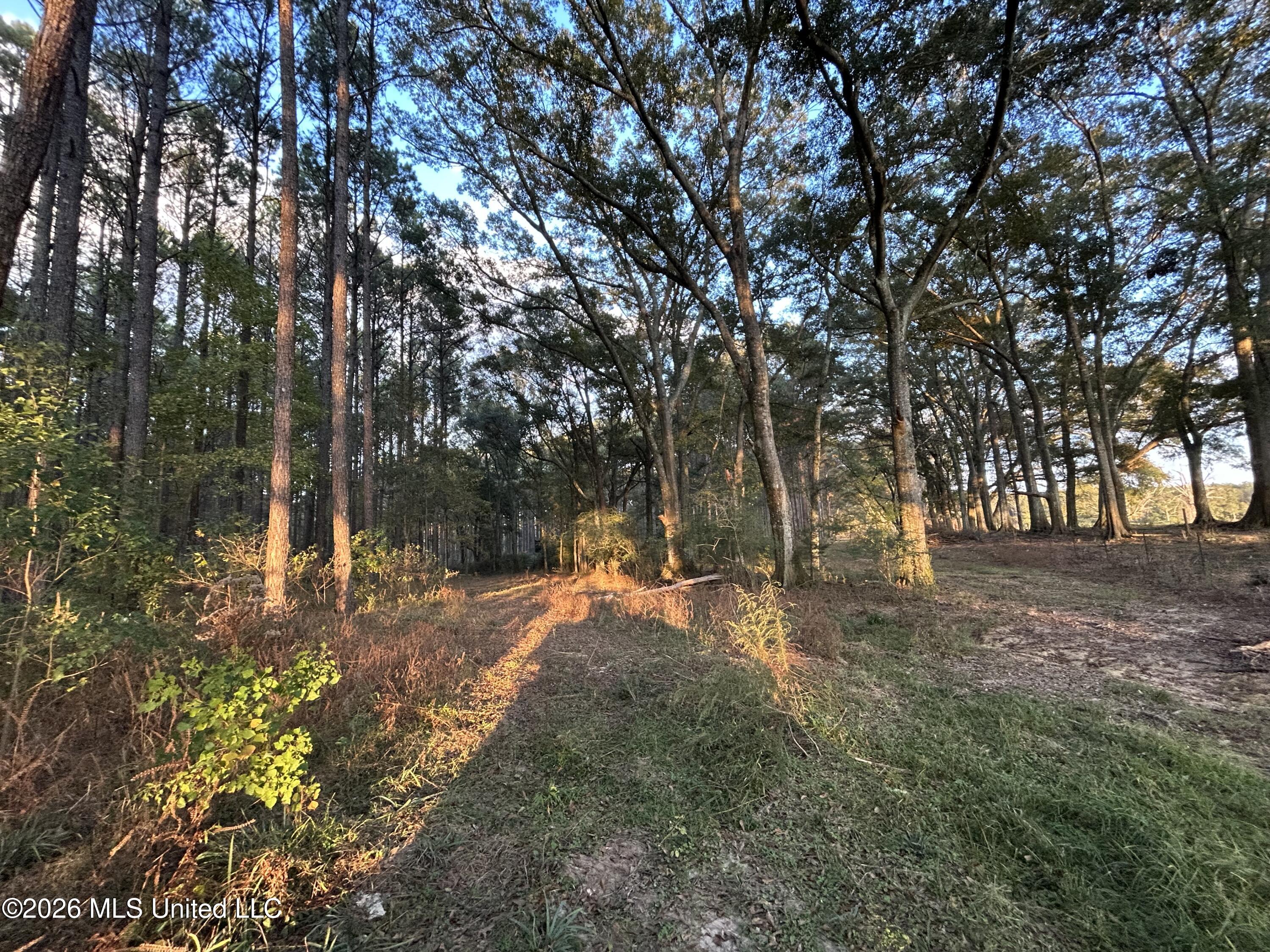 4024 Old Mill Road Property Photo 34