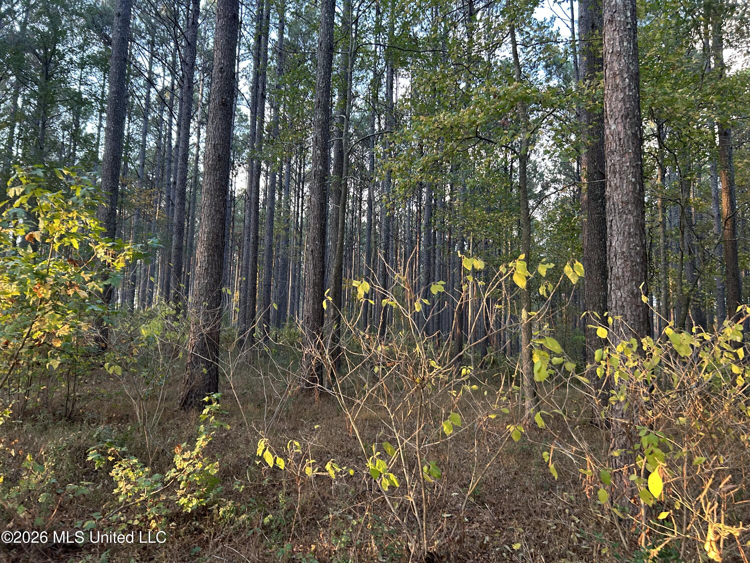 4024 Old Mill Road Property Photo 35