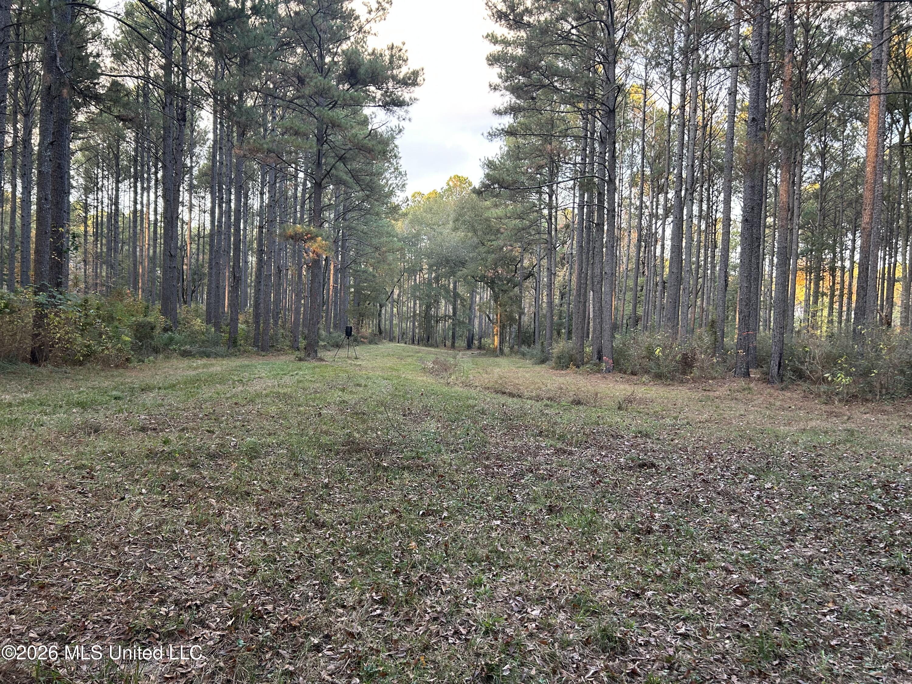 4024 Old Mill Road Property Photo 37