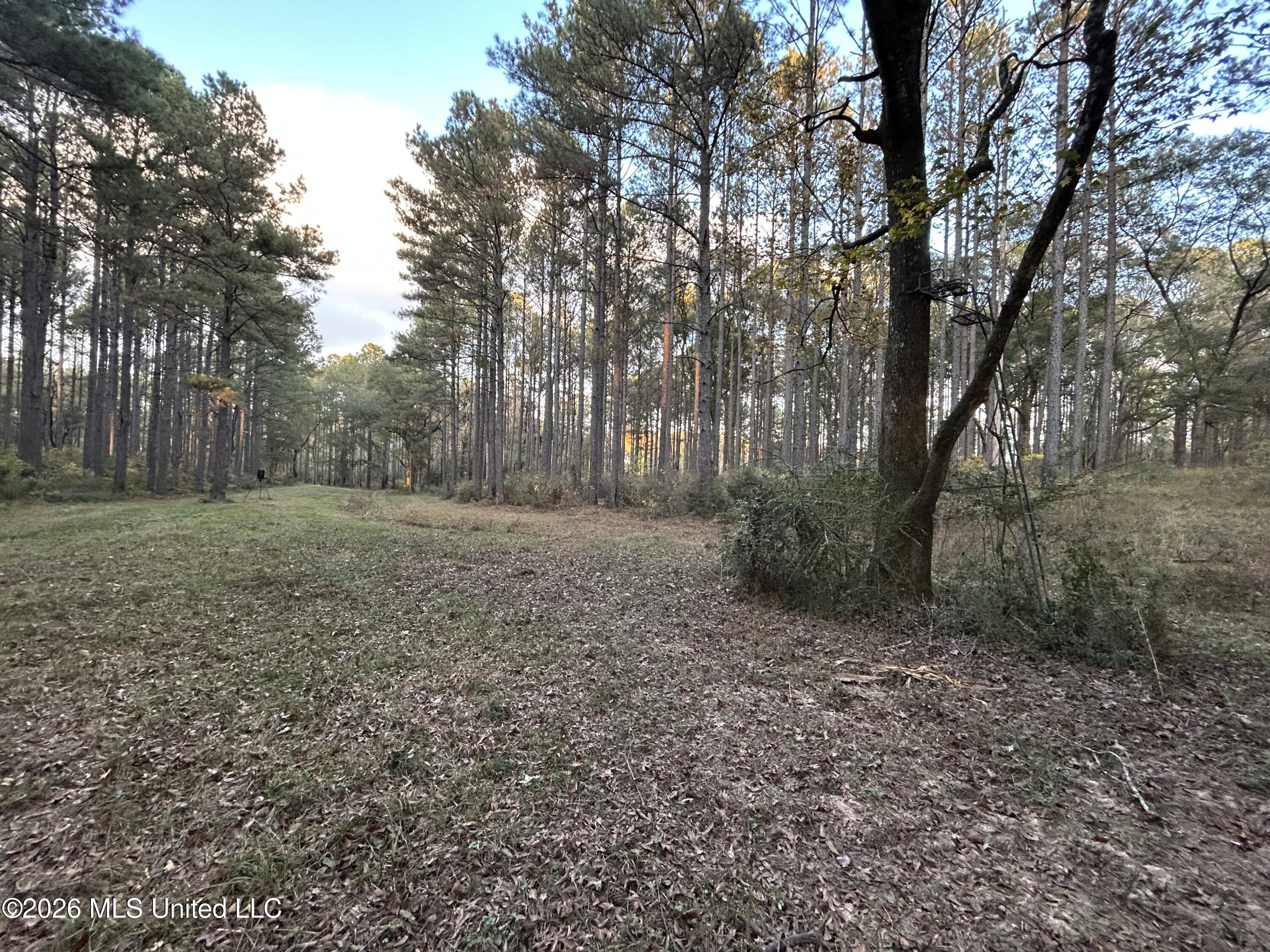 4024 Old Mill Road Property Photo 38