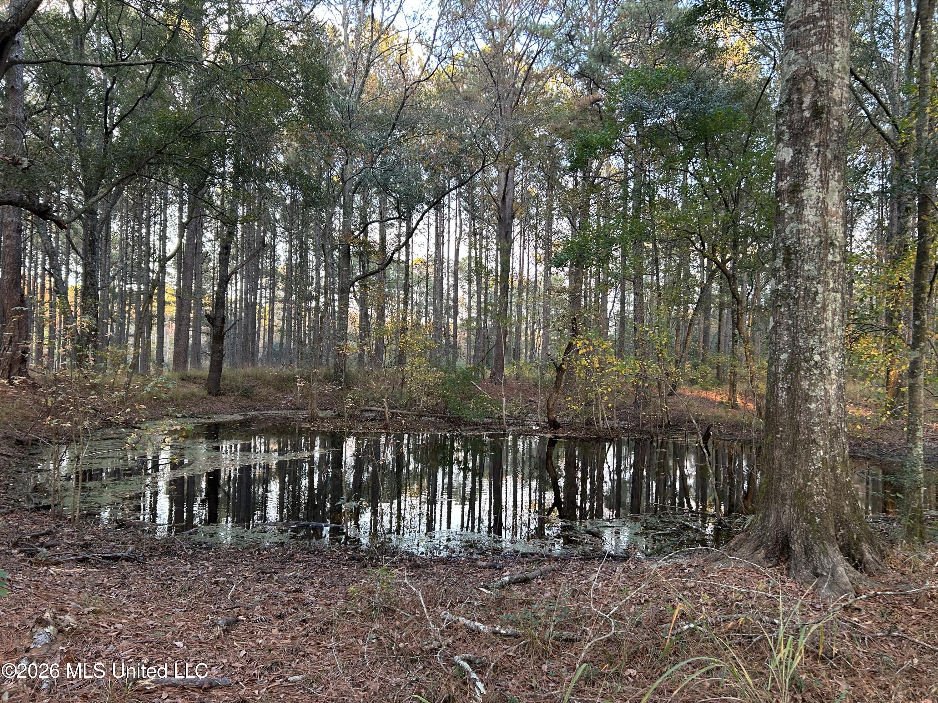 4024 Old Mill Road Property Photo 39