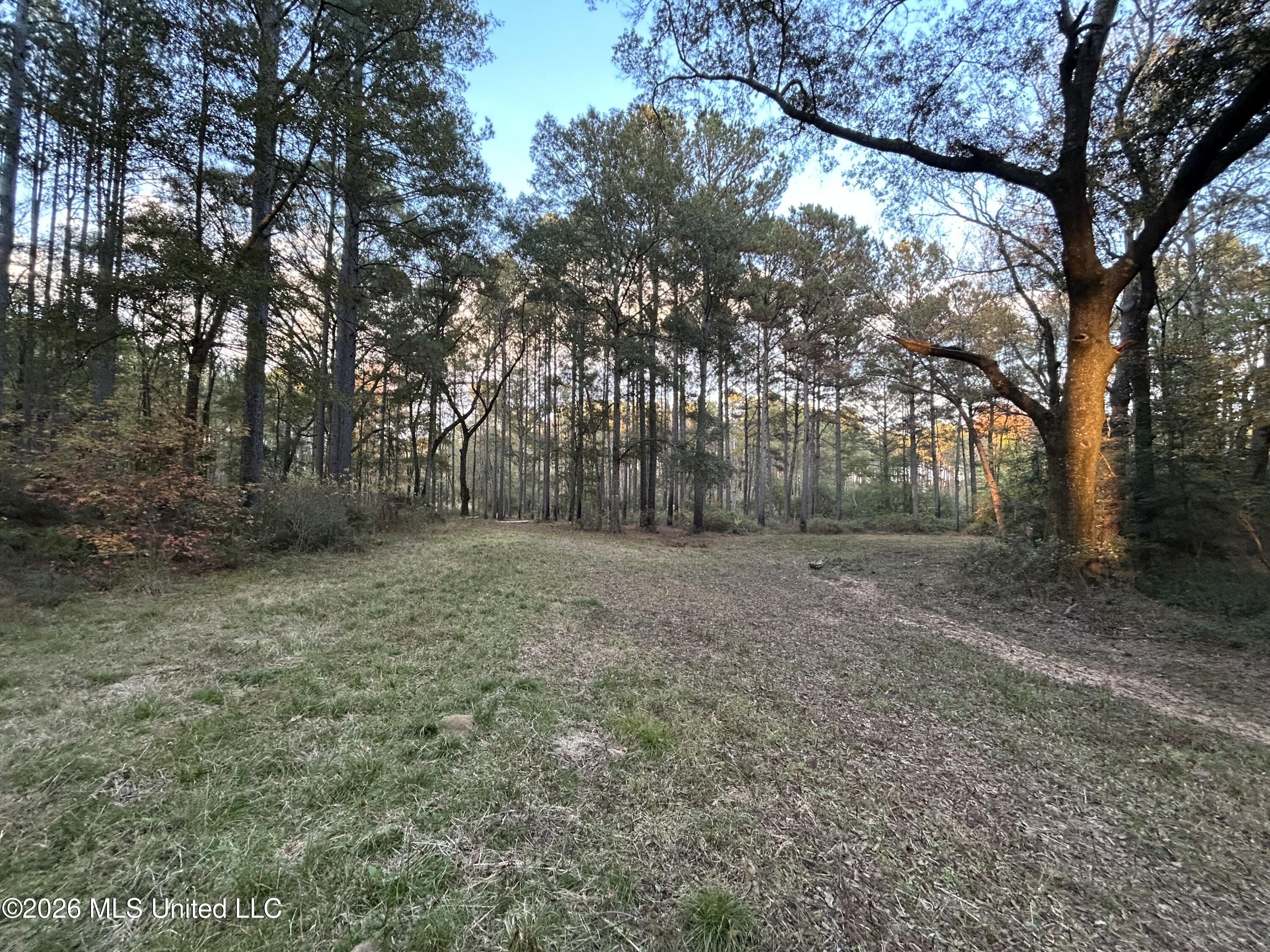 4024 Old Mill Road Property Photo 40