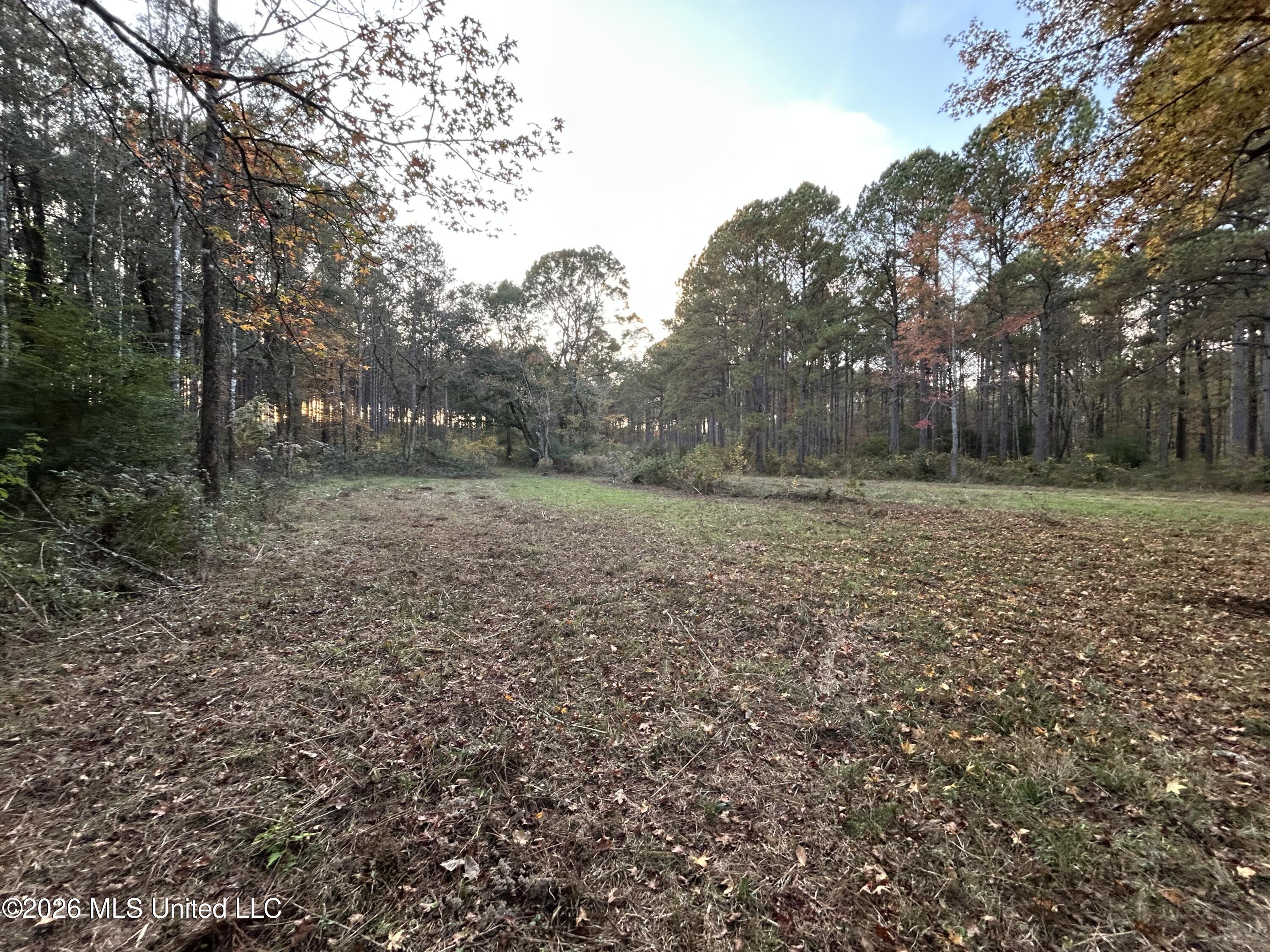 4024 Old Mill Road Property Photo 41