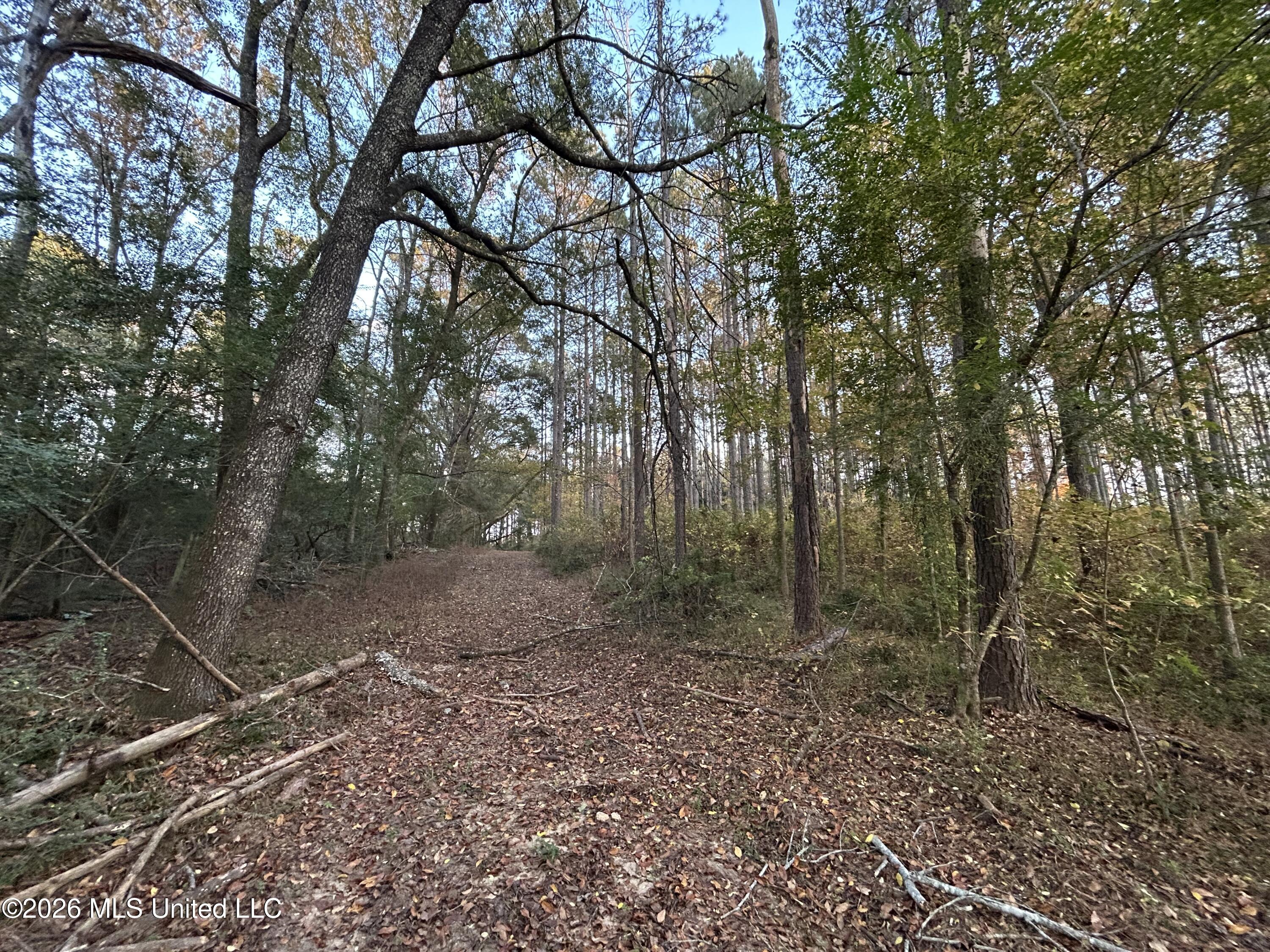 4024 Old Mill Road Property Photo 42