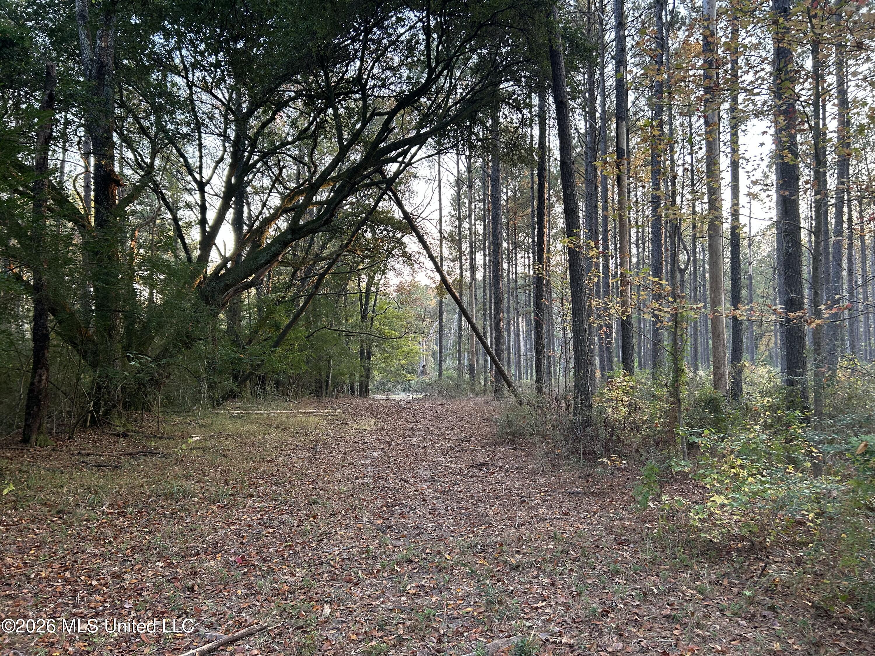 4024 Old Mill Road Property Photo 43