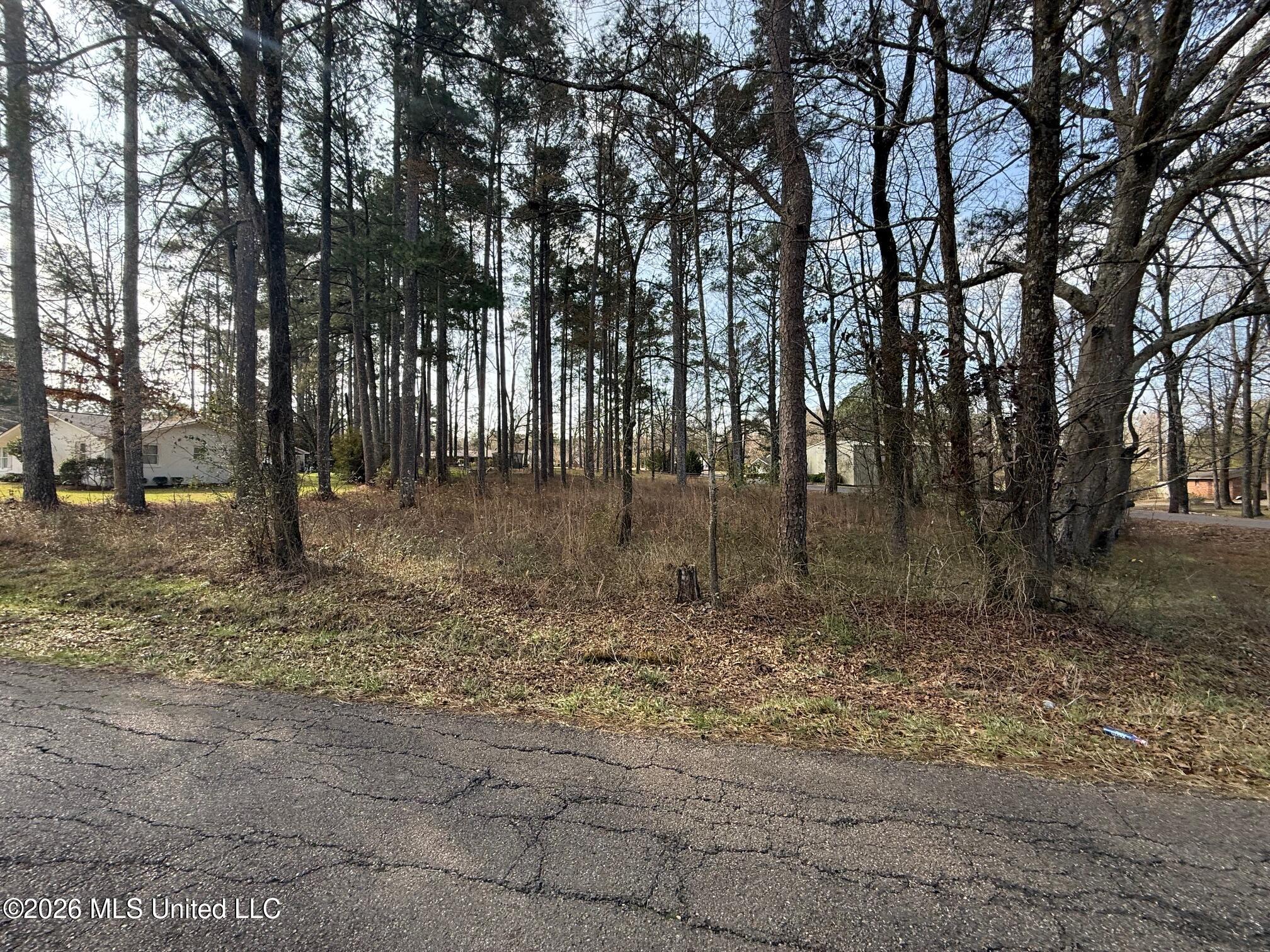 Ackerman Street Property Photo 1