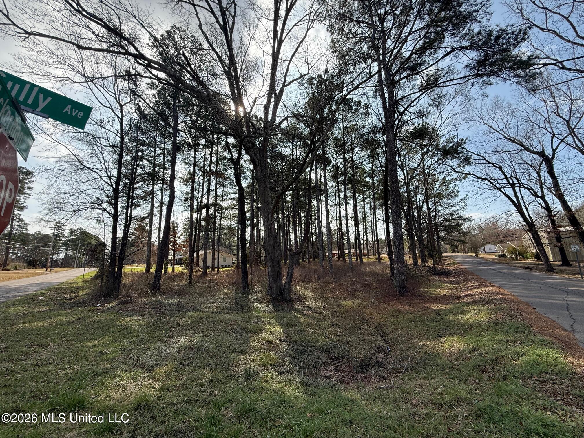 Ackerman Street Property Photo 2