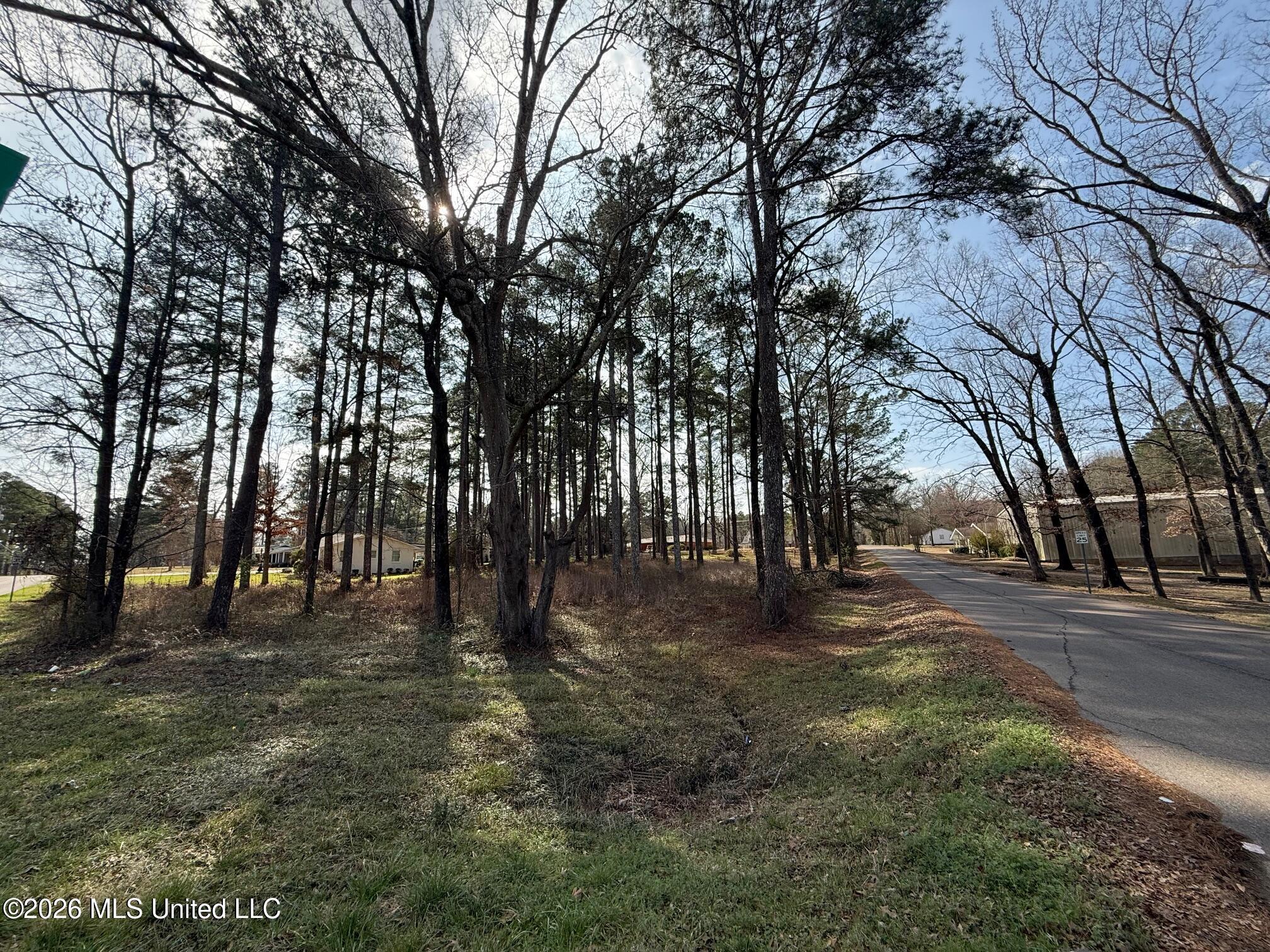 Ackerman Street Property Photo 3