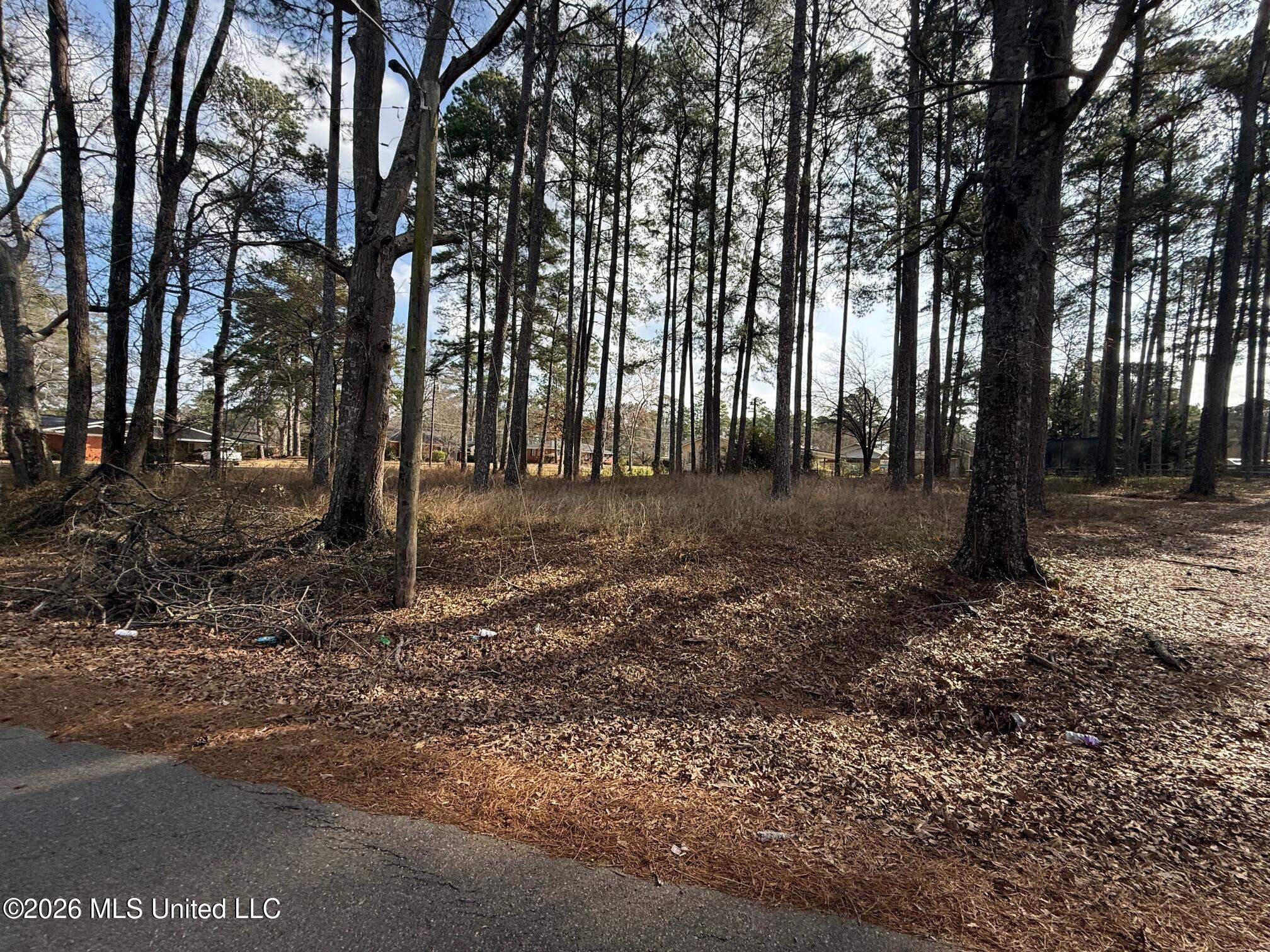 Ackerman Street Property Photo 4