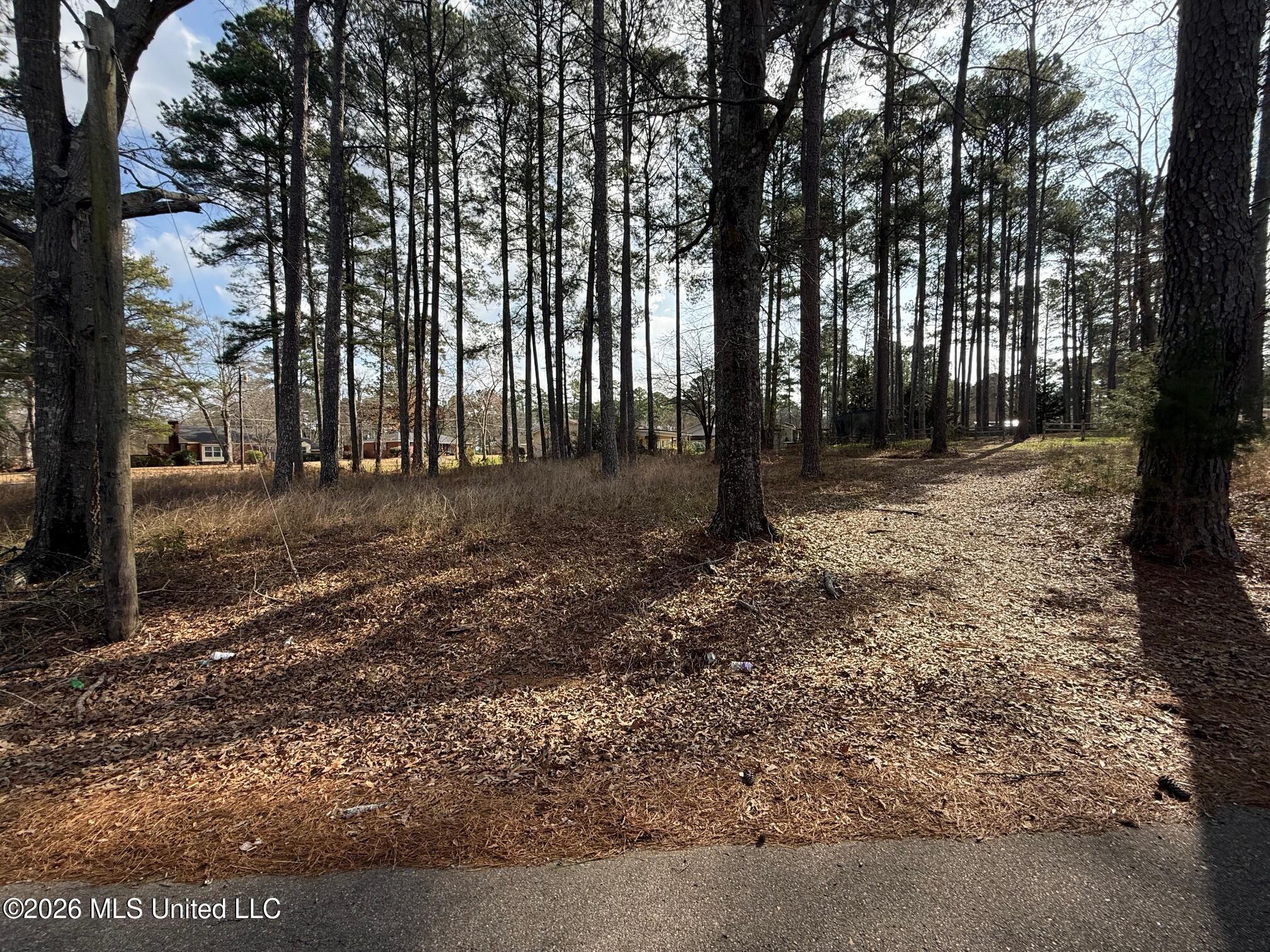 Ackerman Street Property Photo 5