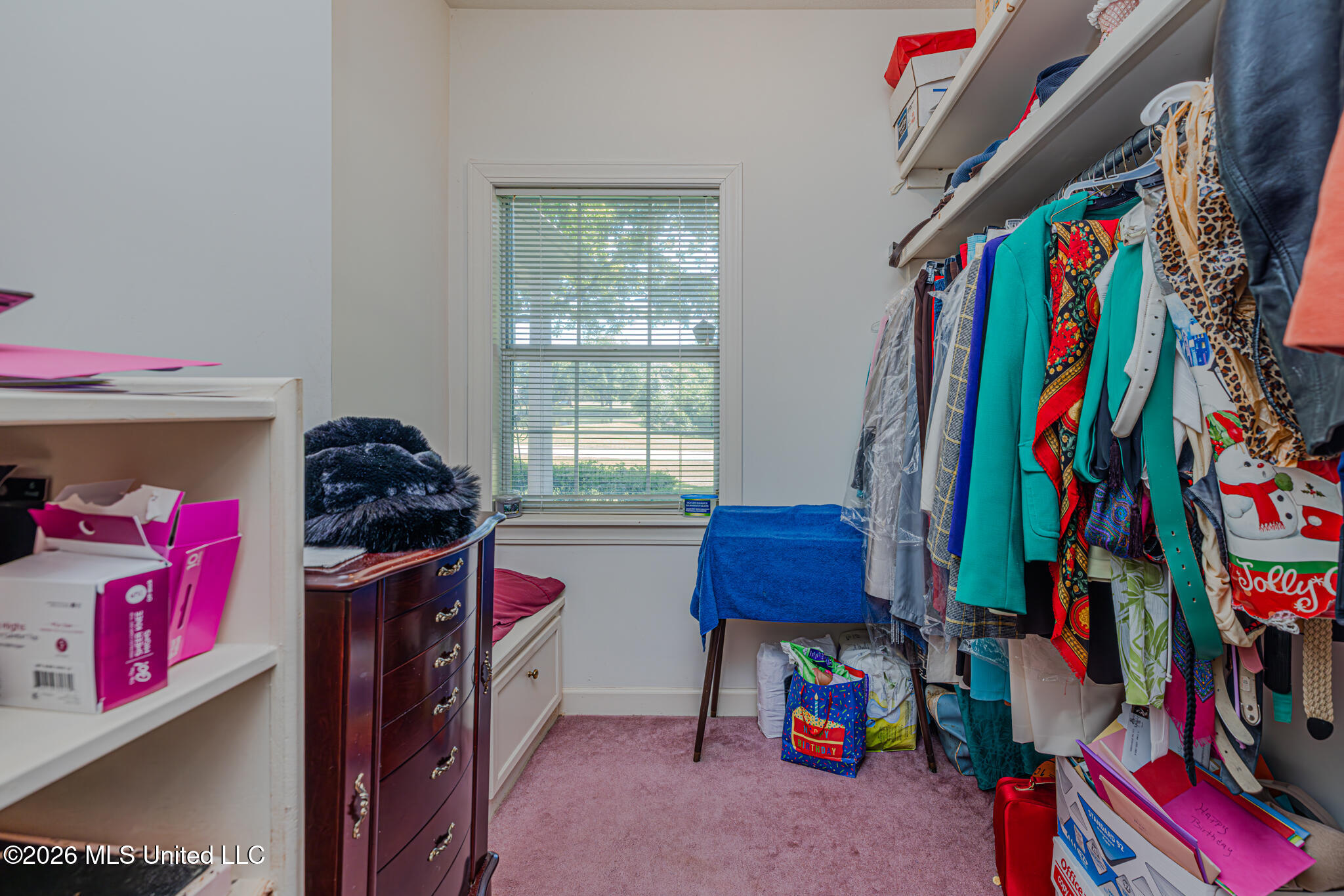 101 Shadia Drive Property Photo 47