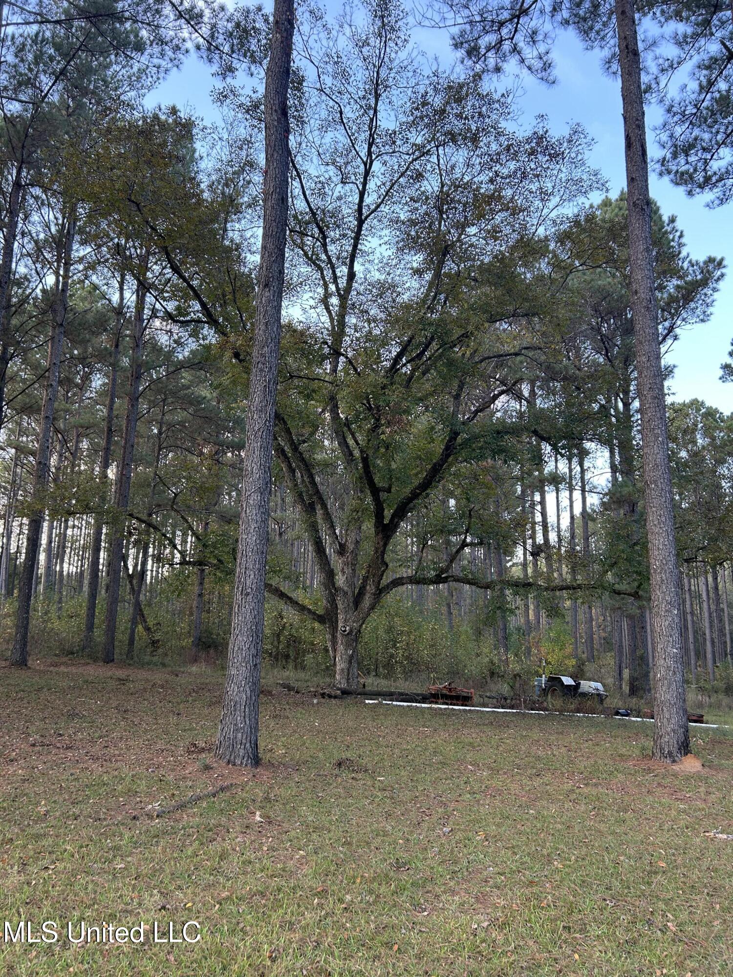 4024 Old Mill Road Property Photo 23