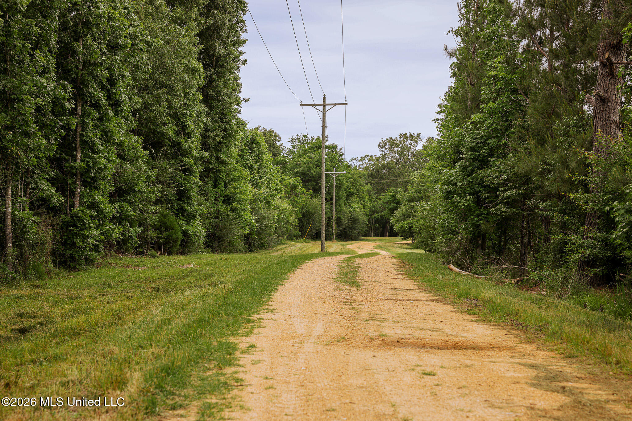 Lewis Lane Property Photo 2