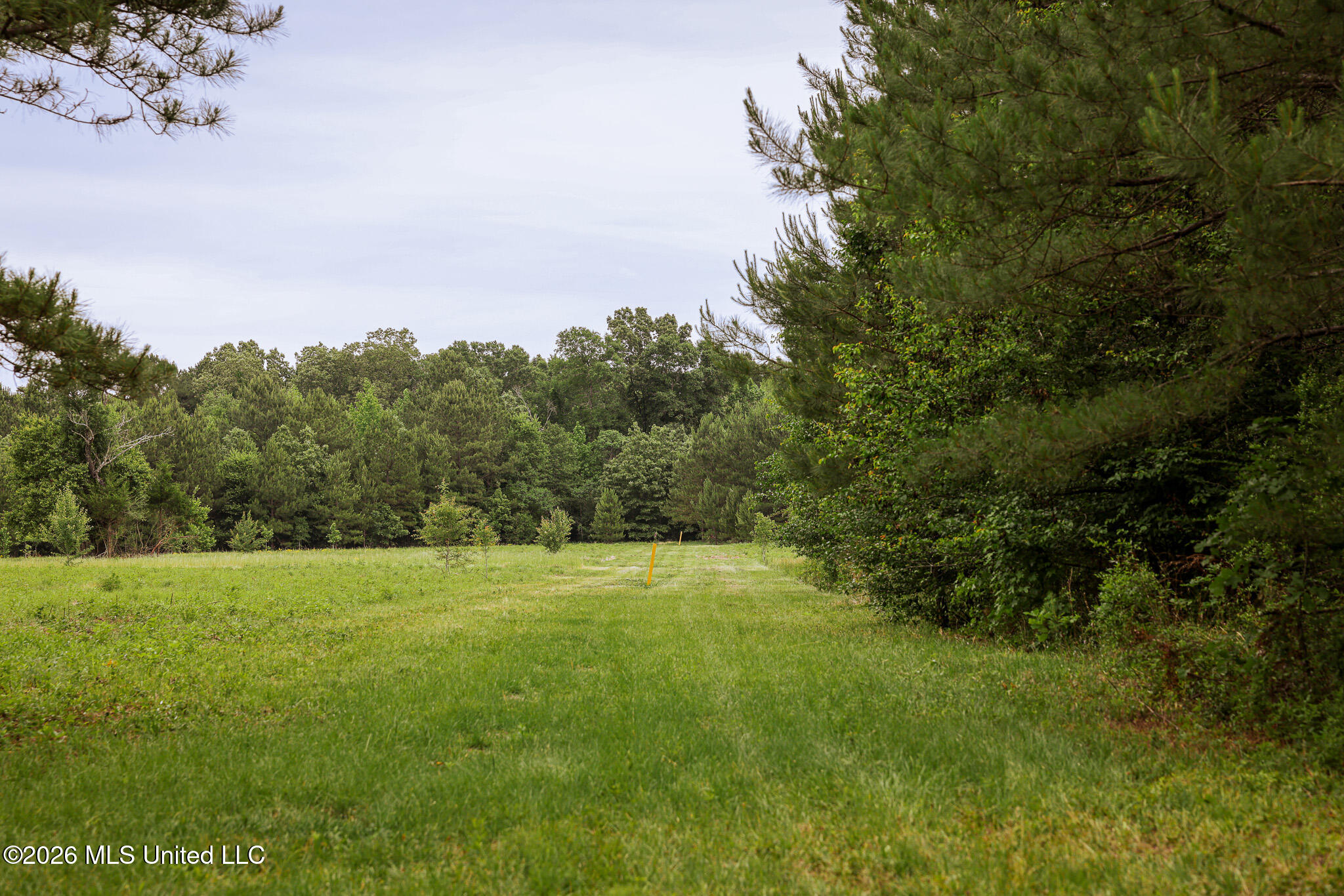 Lewis Lane Property Photo 3