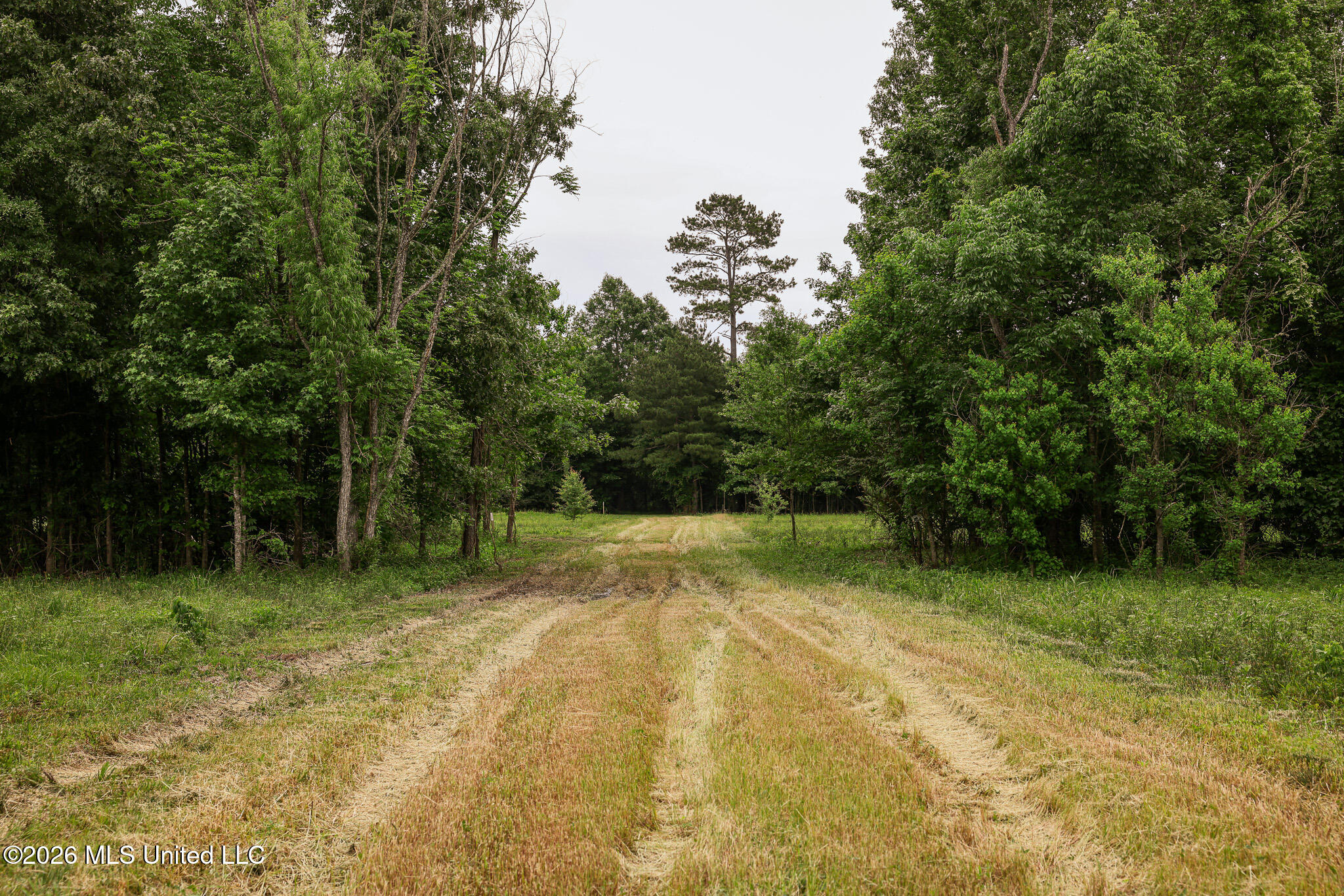 Lewis Lane Property Photo 6