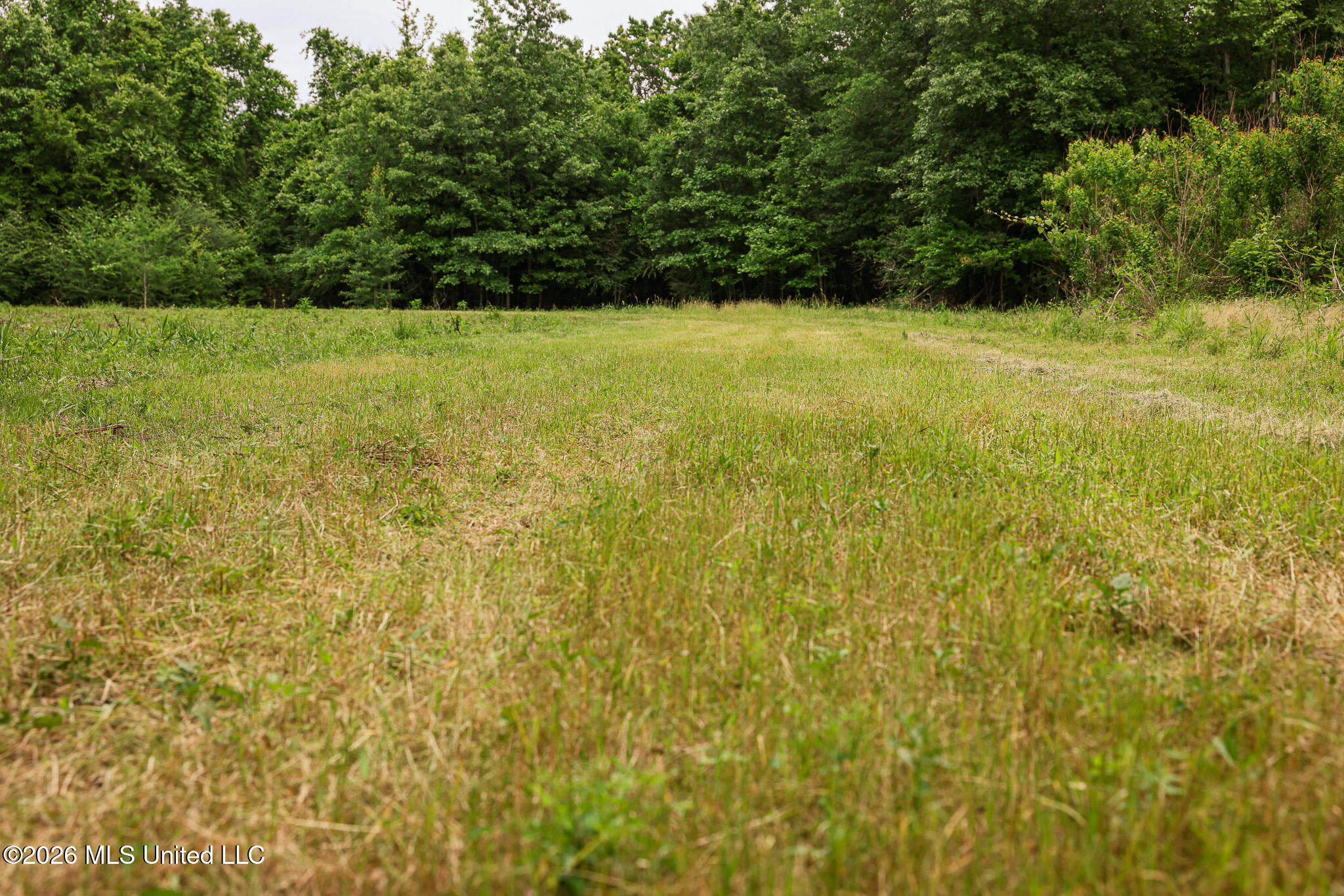 Lewis Lane Property Photo 9