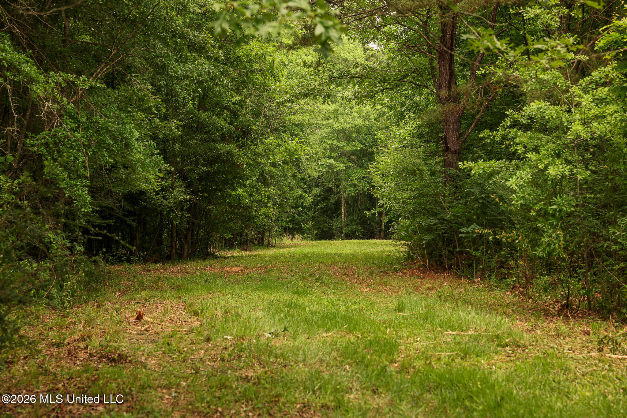 Lewis Lane Property Photo 11
