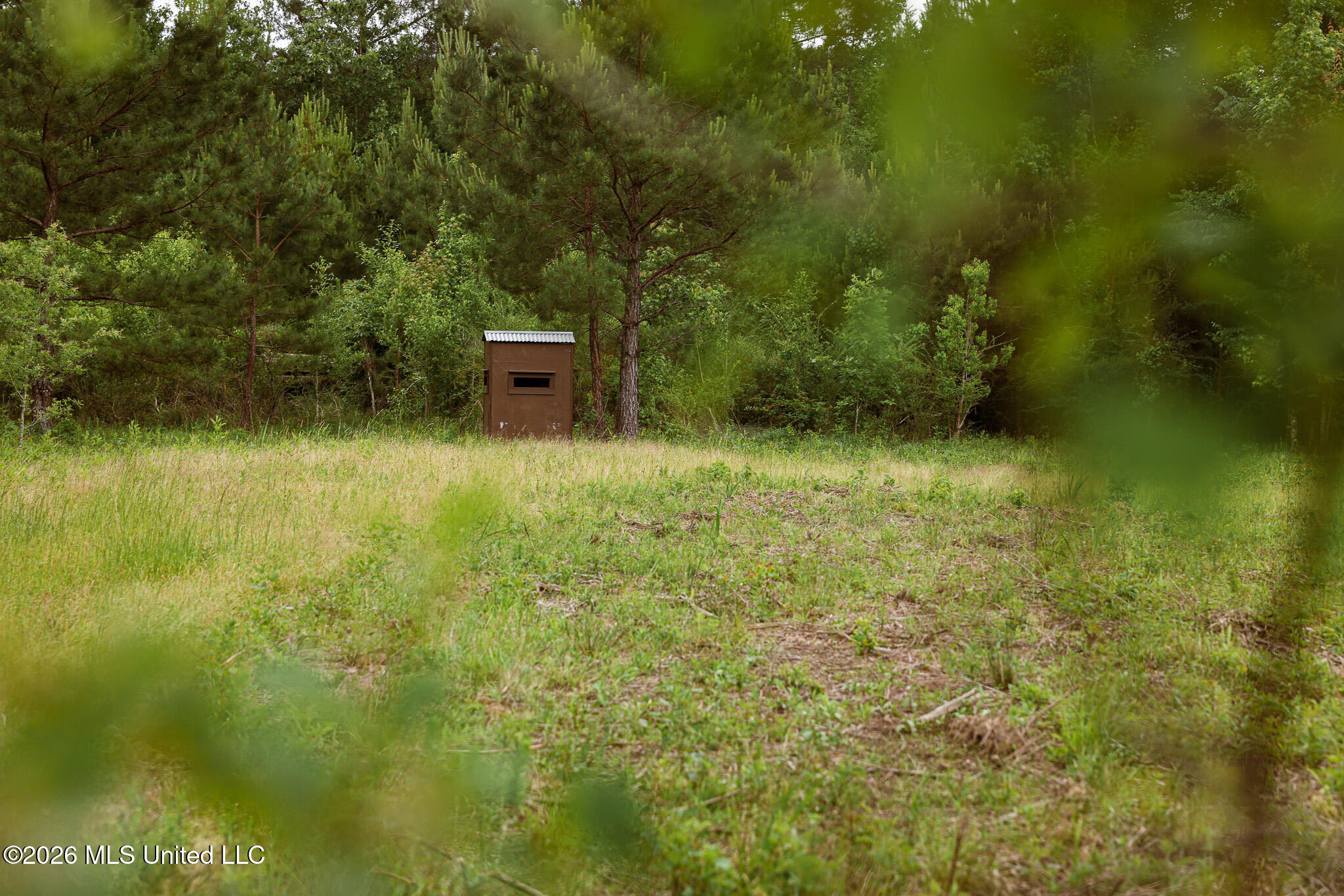 Lewis Lane Property Photo 15