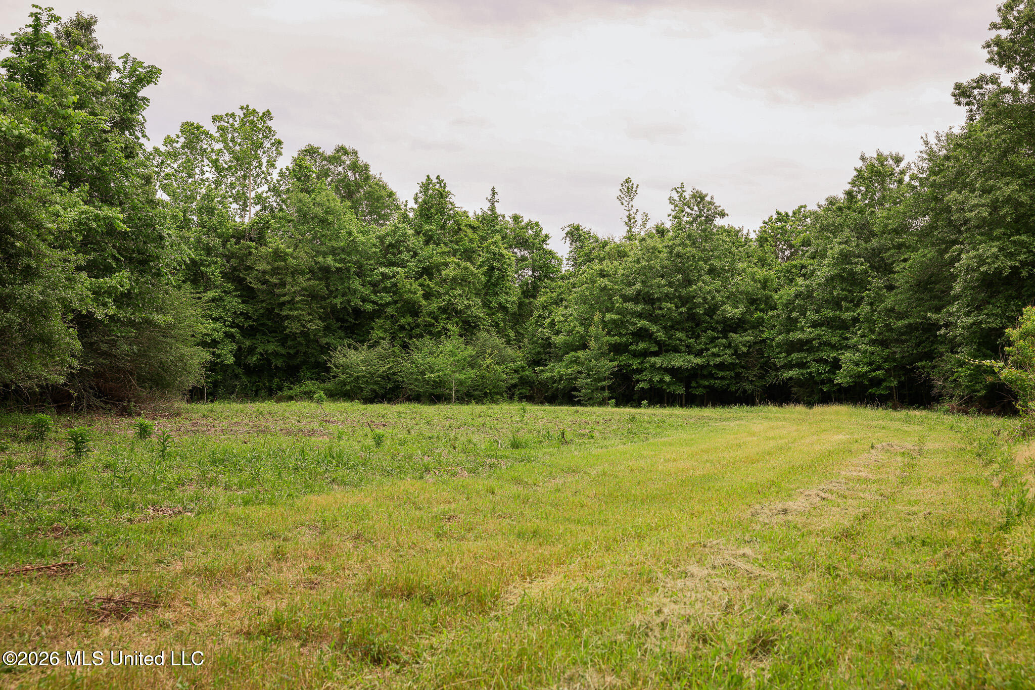 Lewis Lane Property Photo 20
