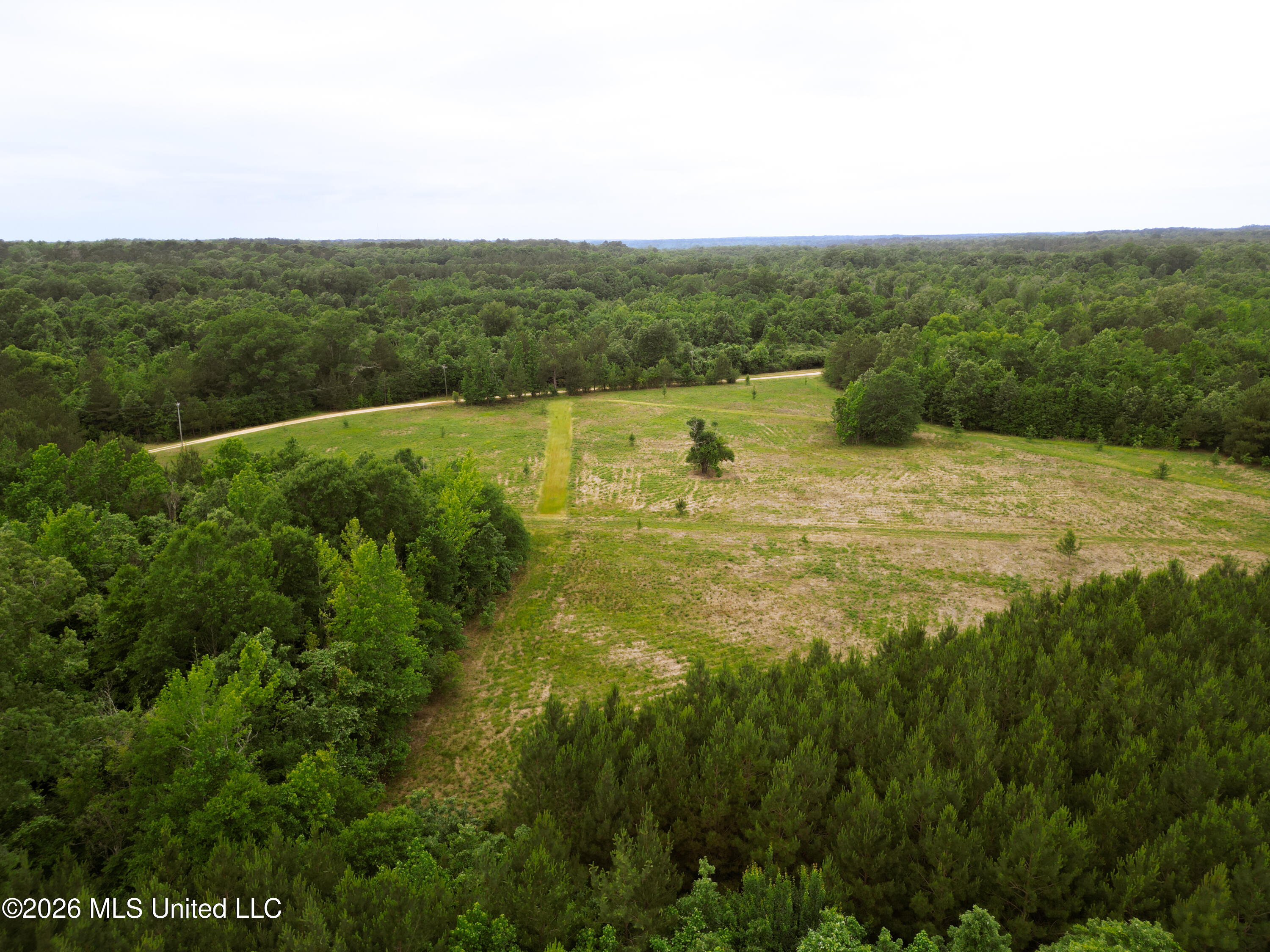 Lewis Lane Property Photo 21