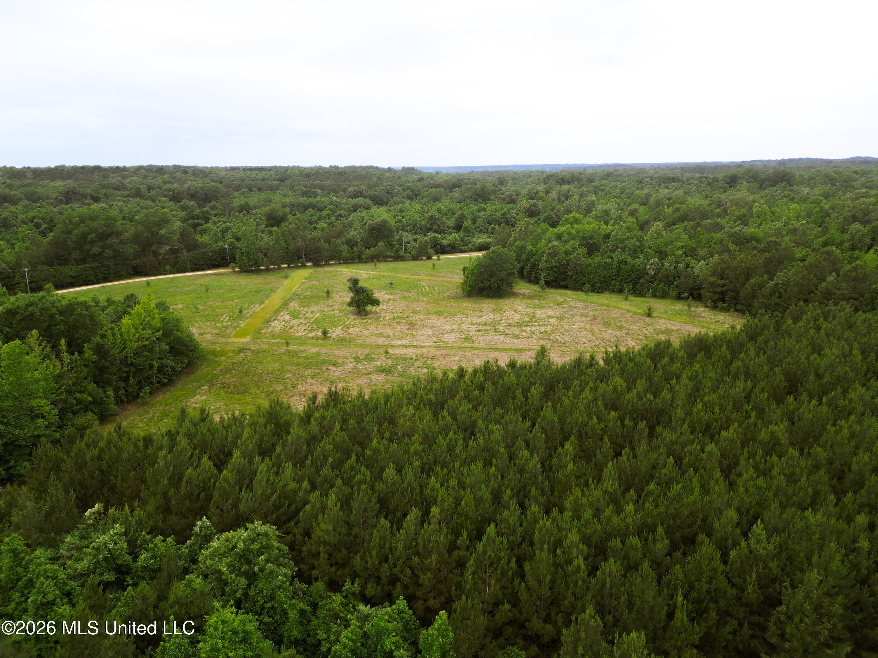 Lewis Lane Property Photo 22