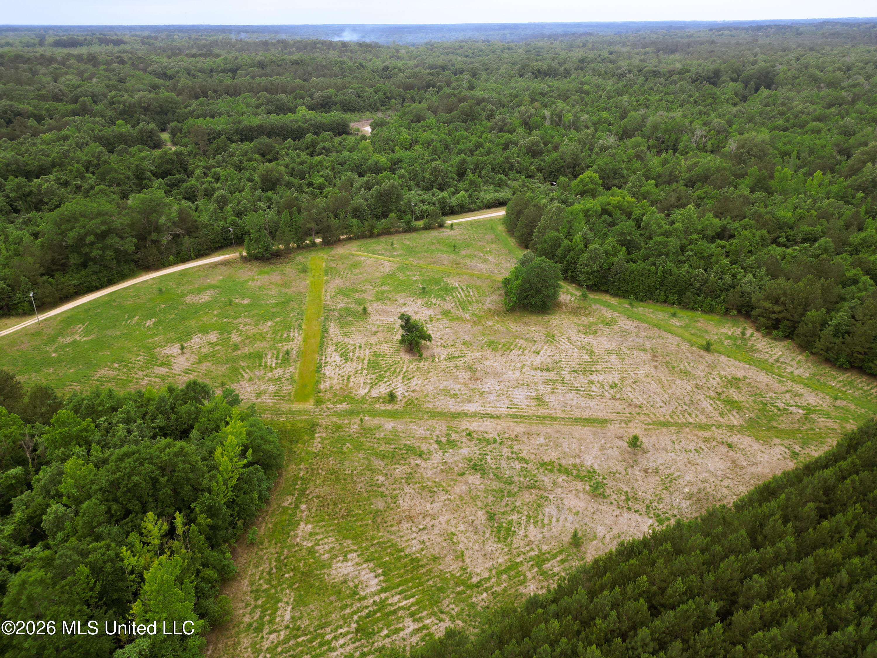 Lewis Lane Property Photo 23