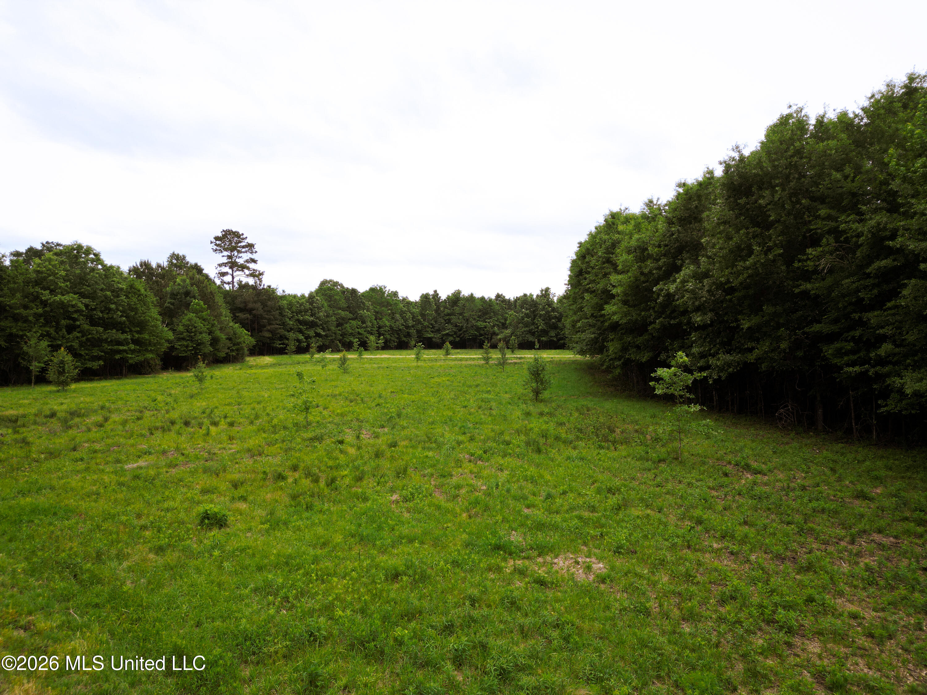 Lewis Lane Property Photo 27