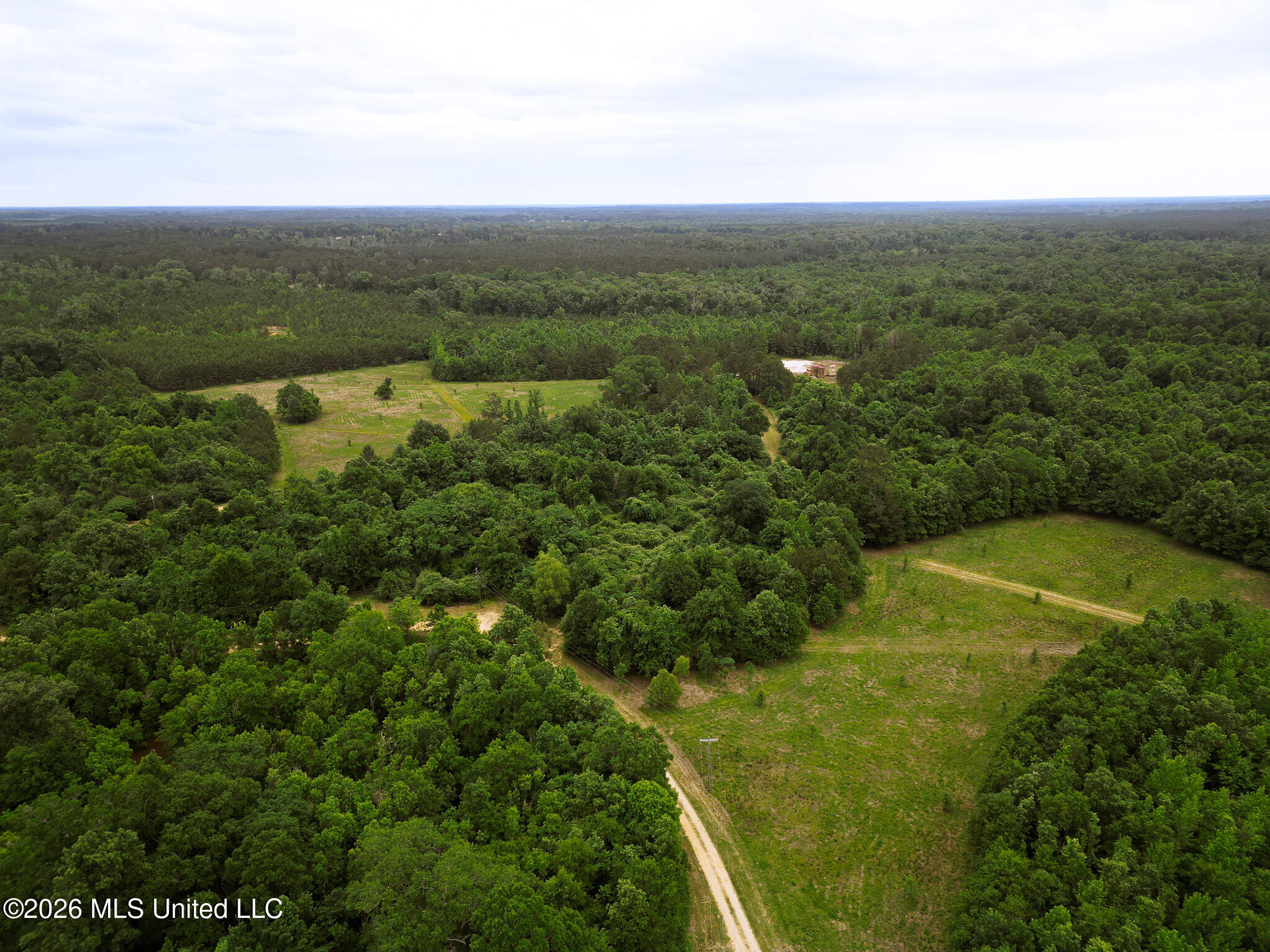 Lewis Lane Property Photo 28