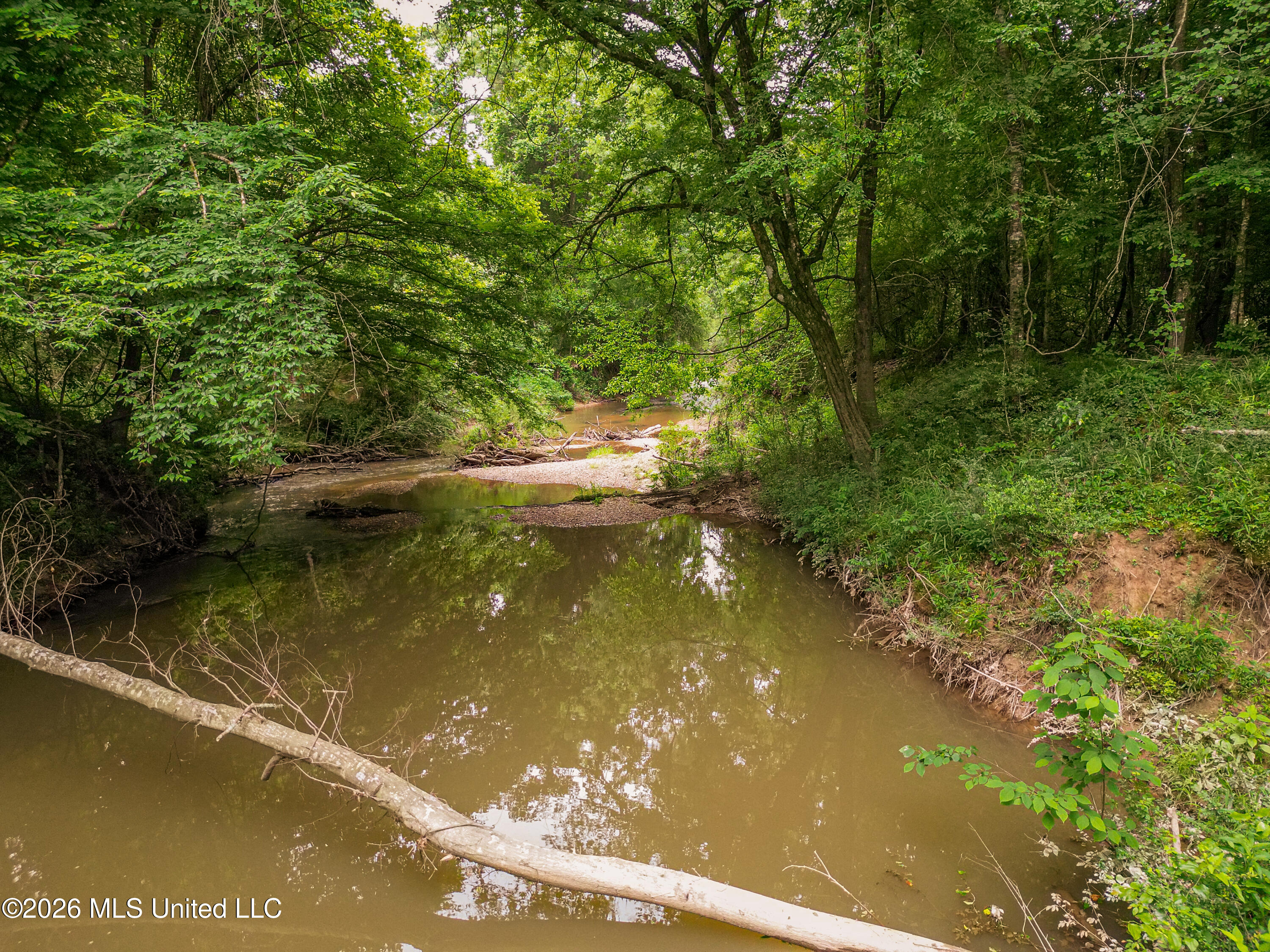 Lewis Lane Property Photo 32
