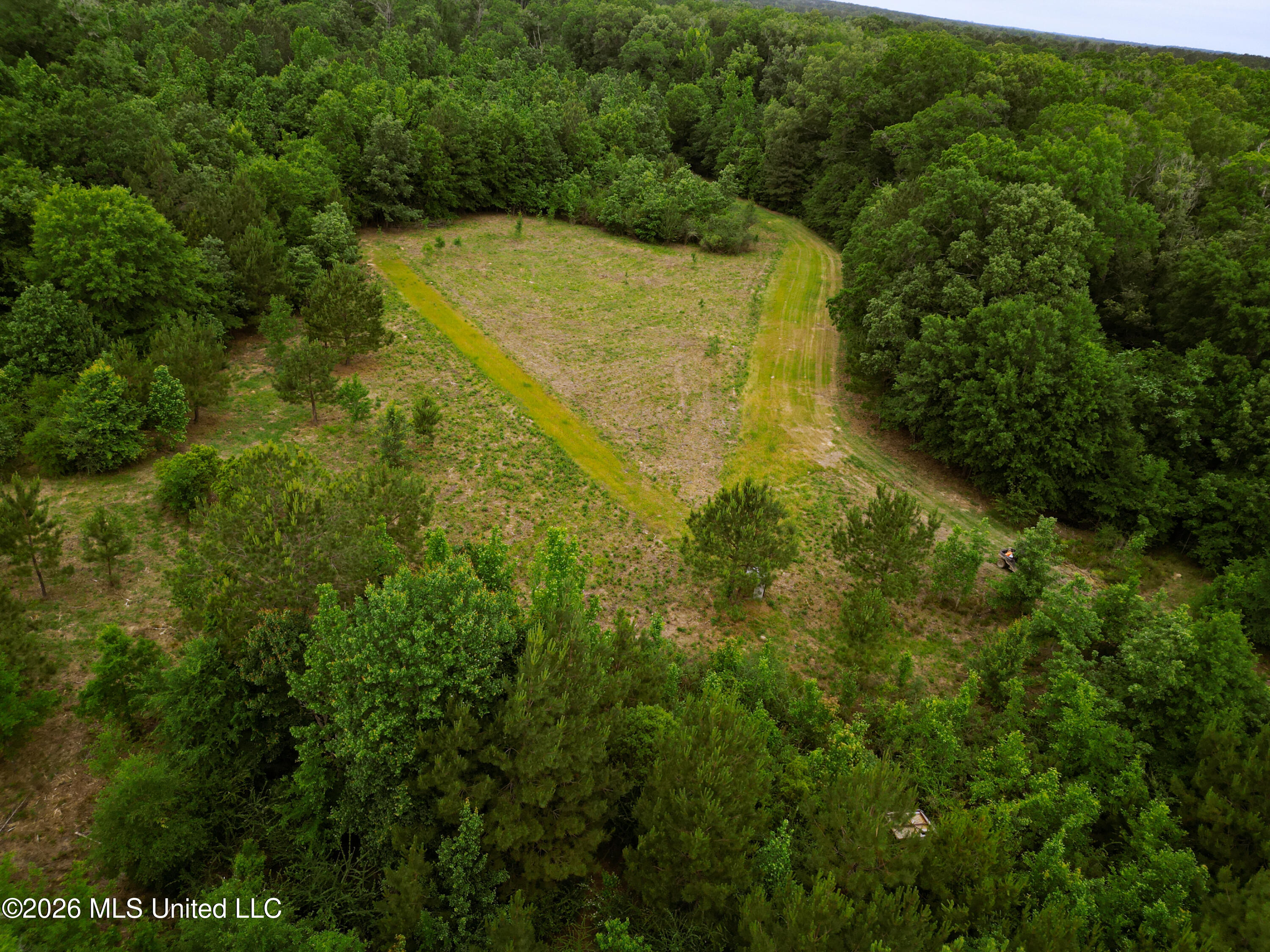 Lewis Lane Property Photo 36